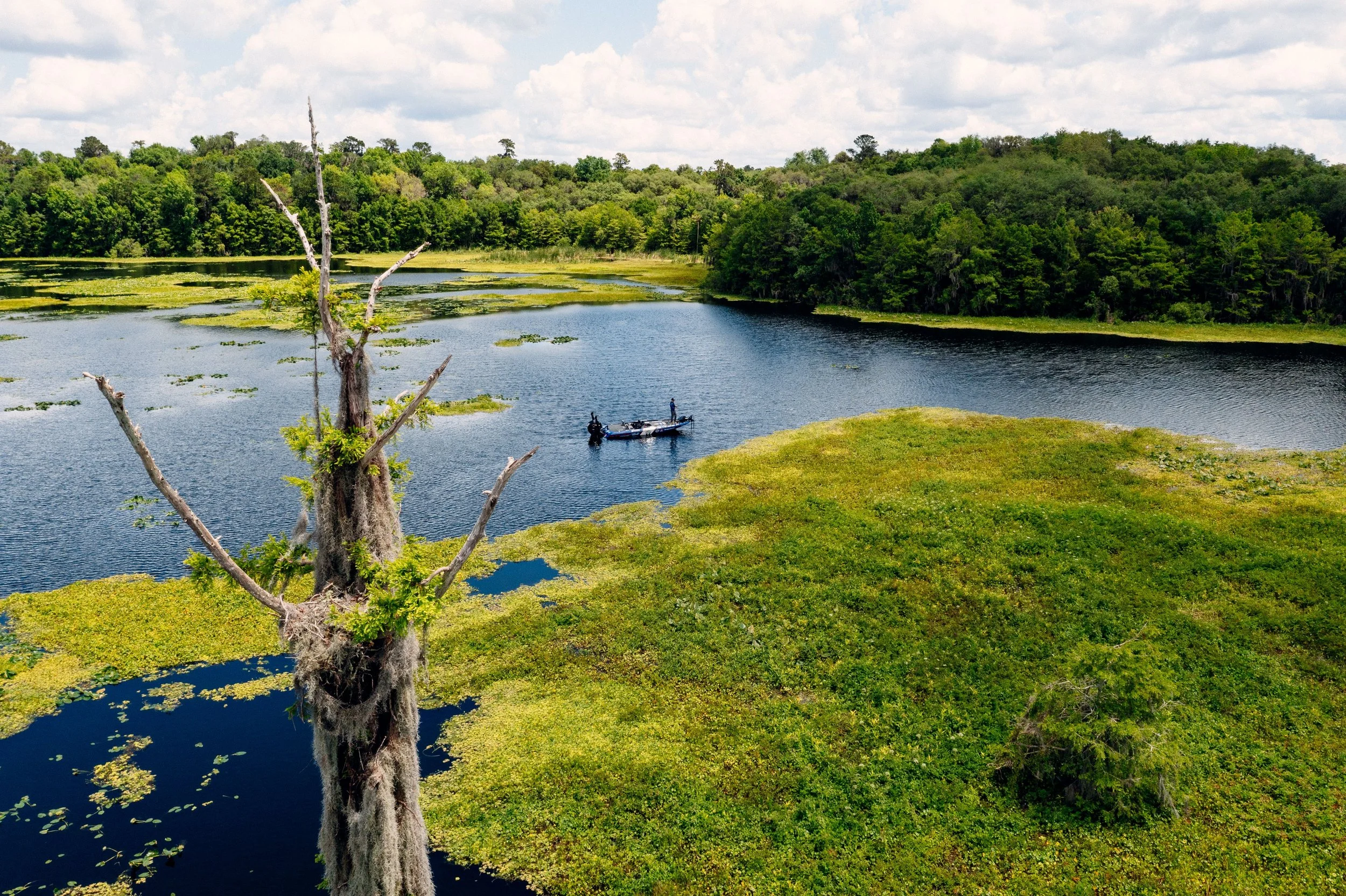 Ocklawaha River Restoration: Water Quality Impacts 
