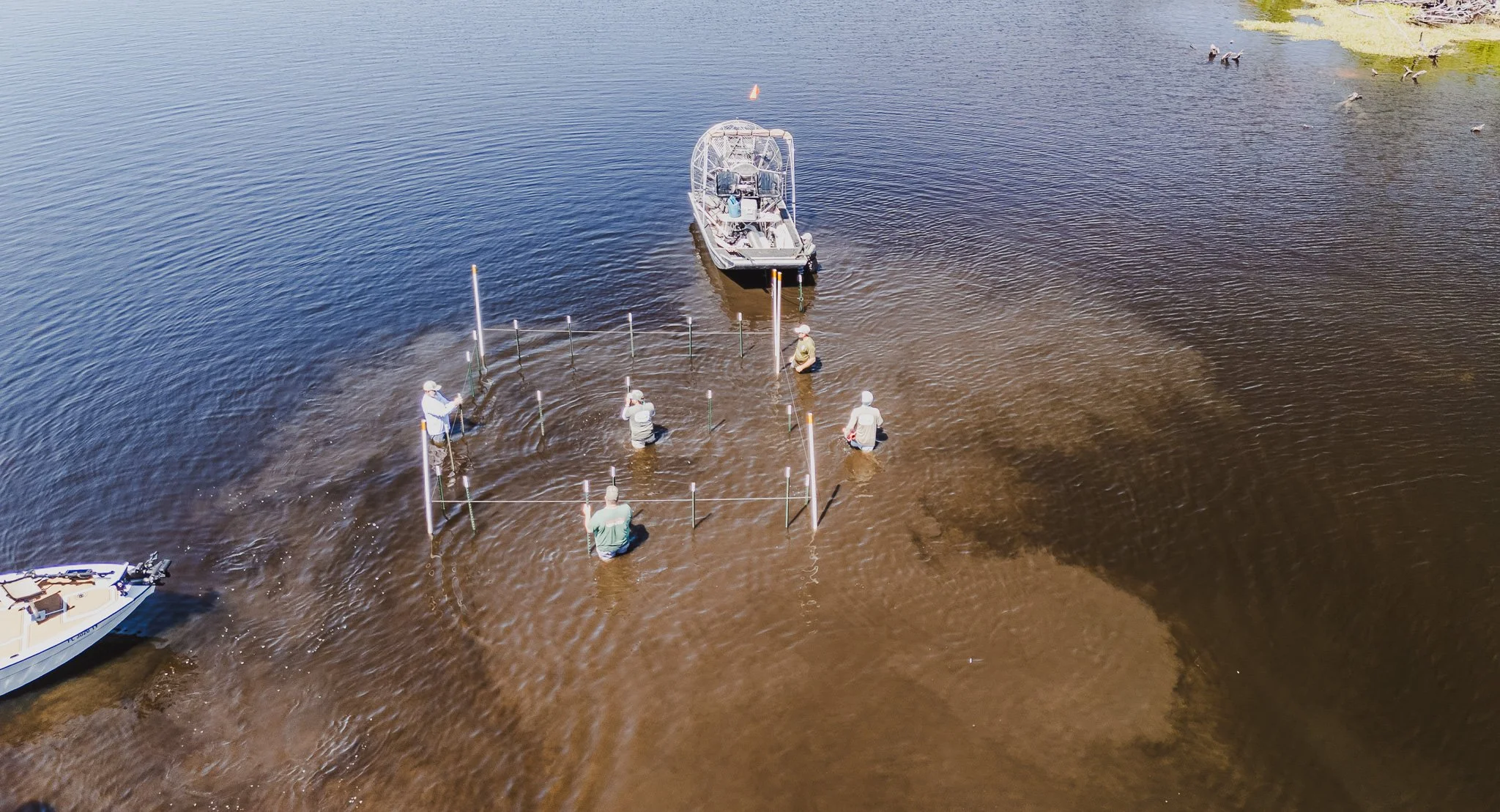 Cloudy water on the St. Johns River demonstrates turbidity problems, a result of herbicide use