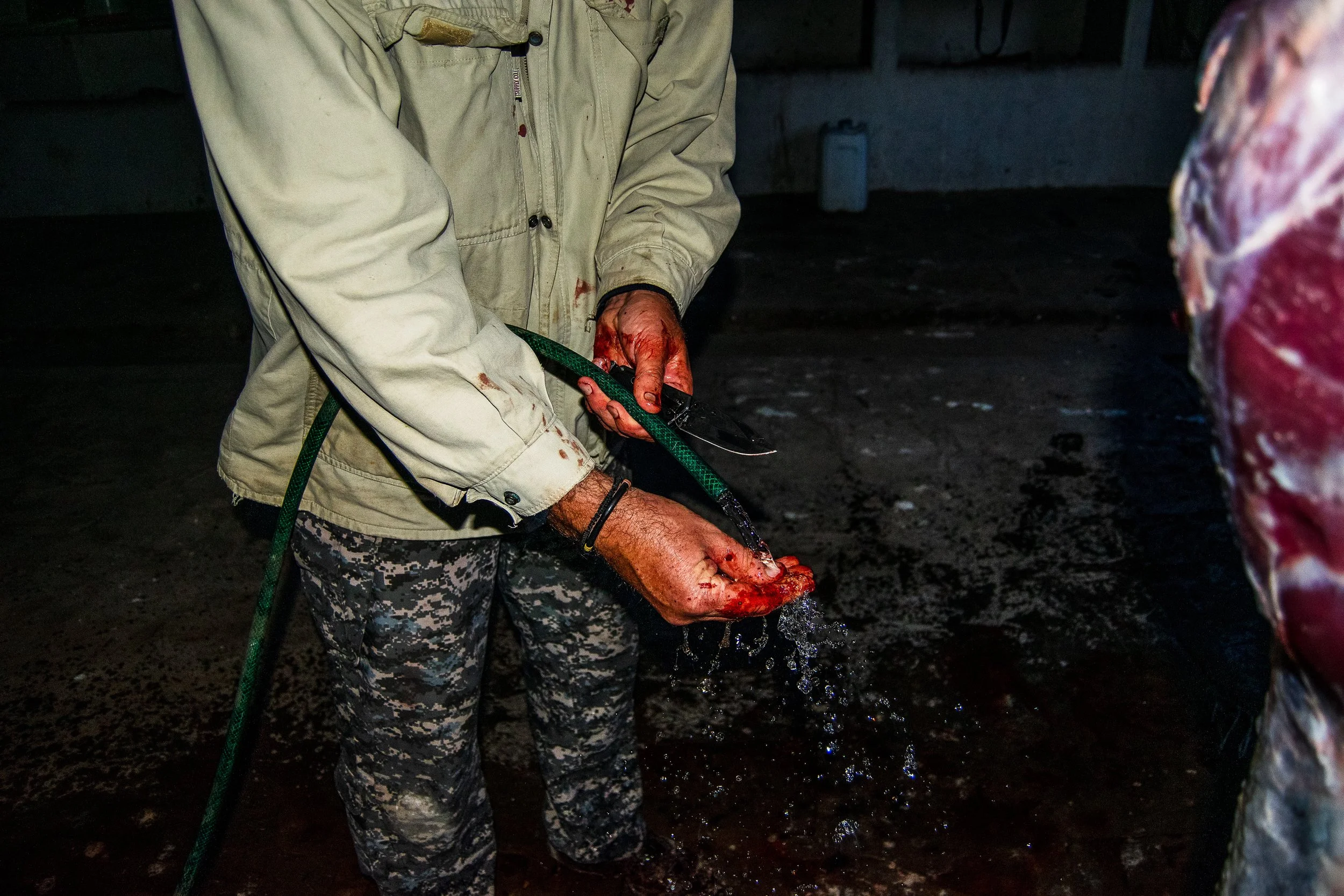 Cleaning his hands and knife after skinning Impala