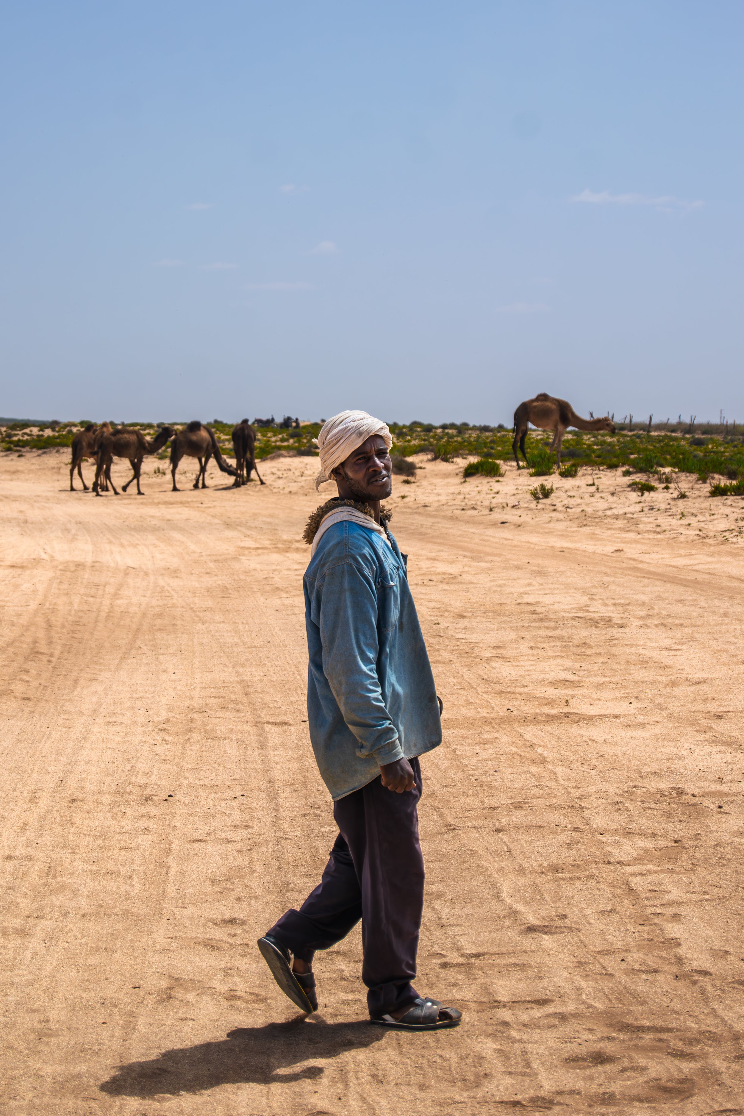 Abdel Baste - Camel farmer who left his family in Tata to look after his flock of wild camels. He makes a living through the sale of camel milk and meat