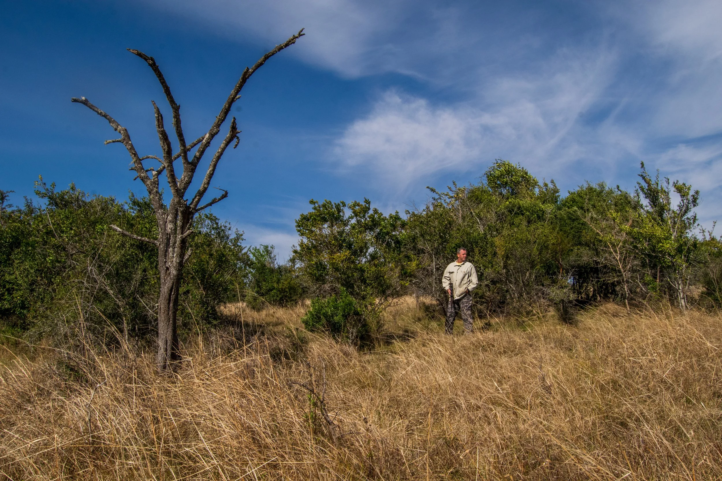 Wide angle photograph of the bushveld