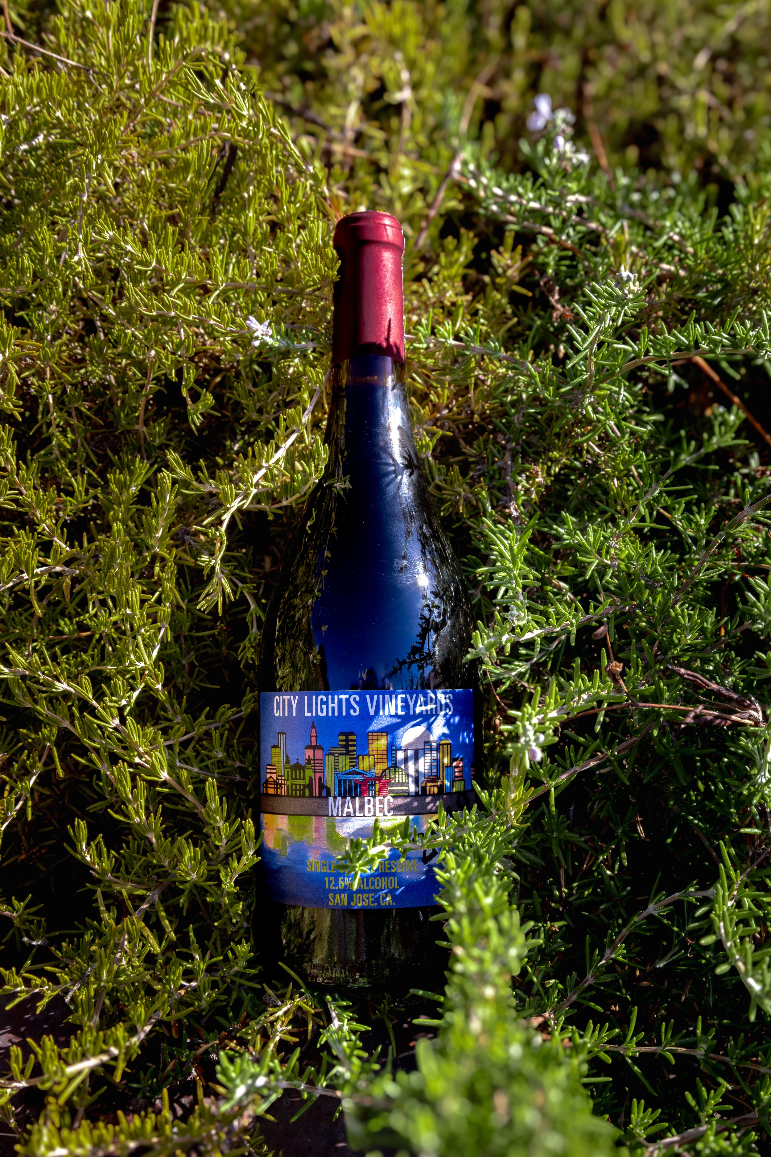 Case of Malbec