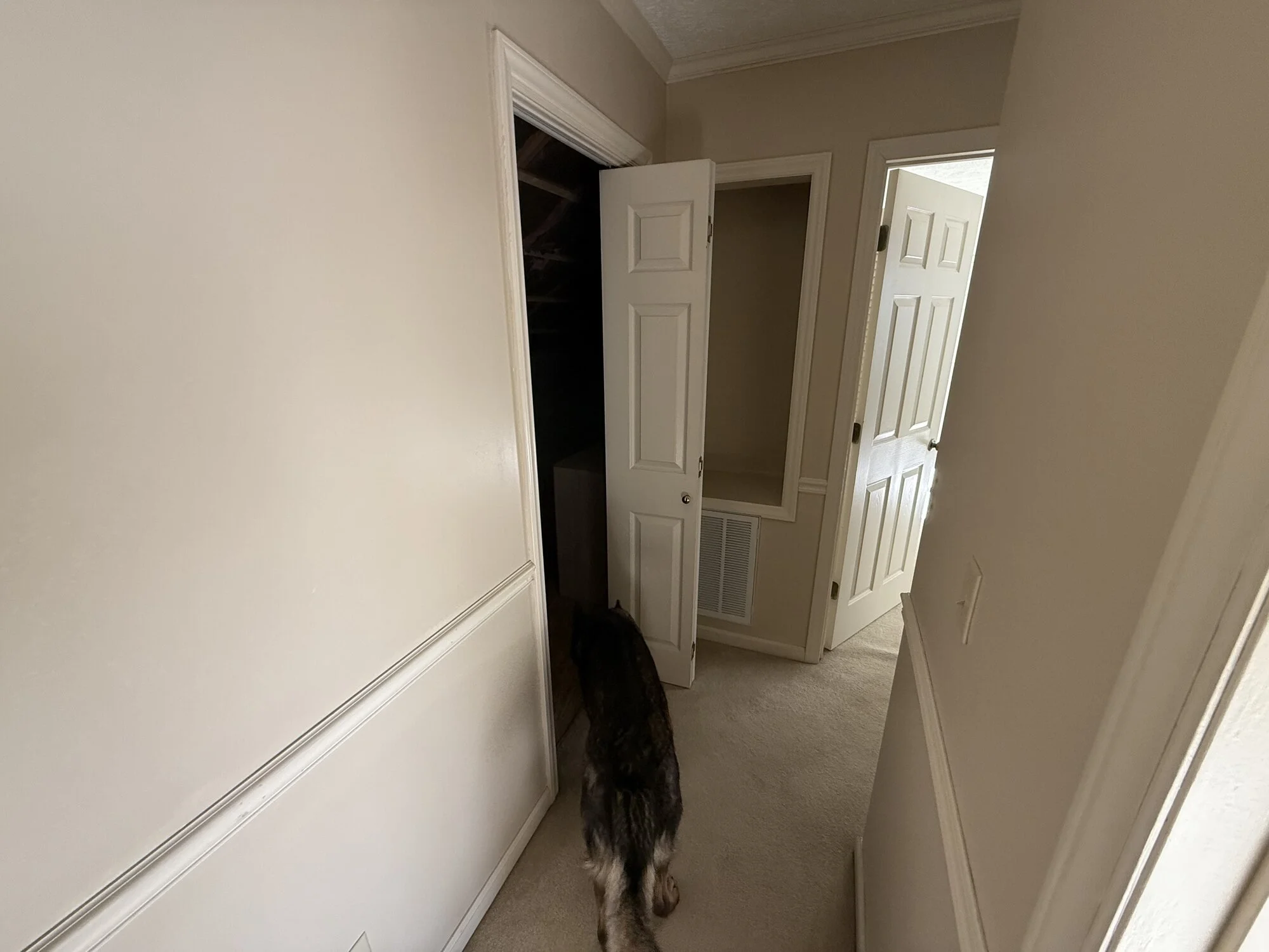 Before — narrow hallway with dated doors and dim lighting