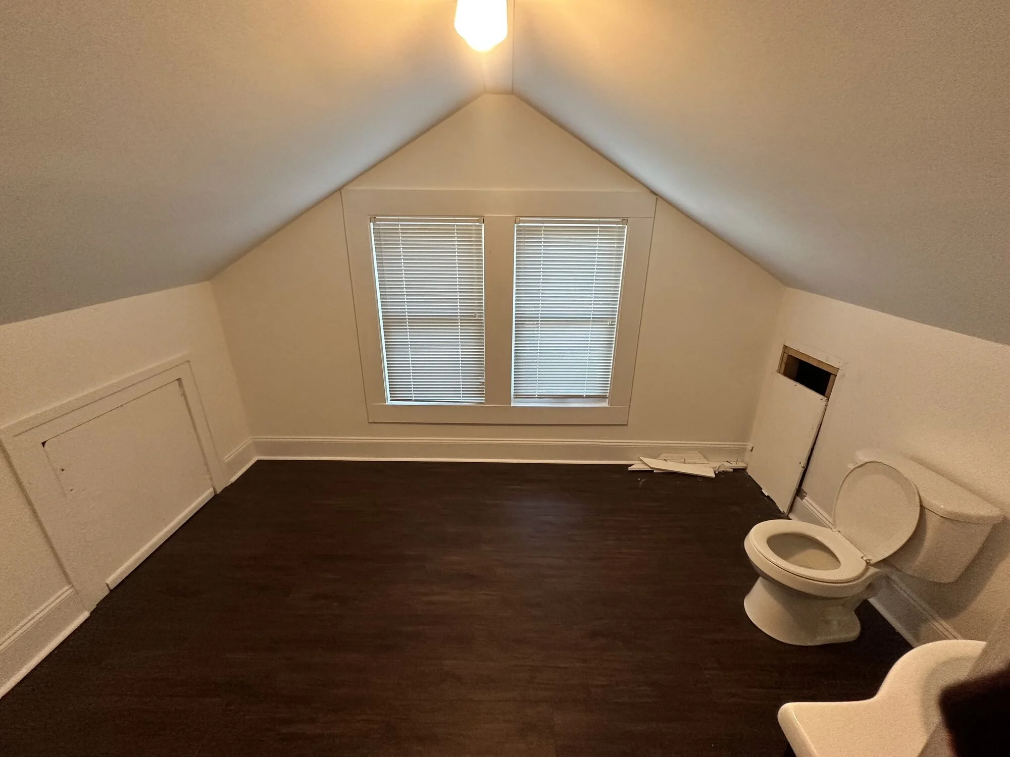 Before — unused finished attic space with just a toilet and sink