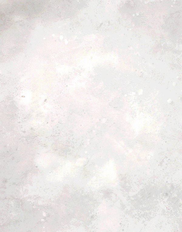 Red-Food-Wreath-stop-motion-2 (2).gif