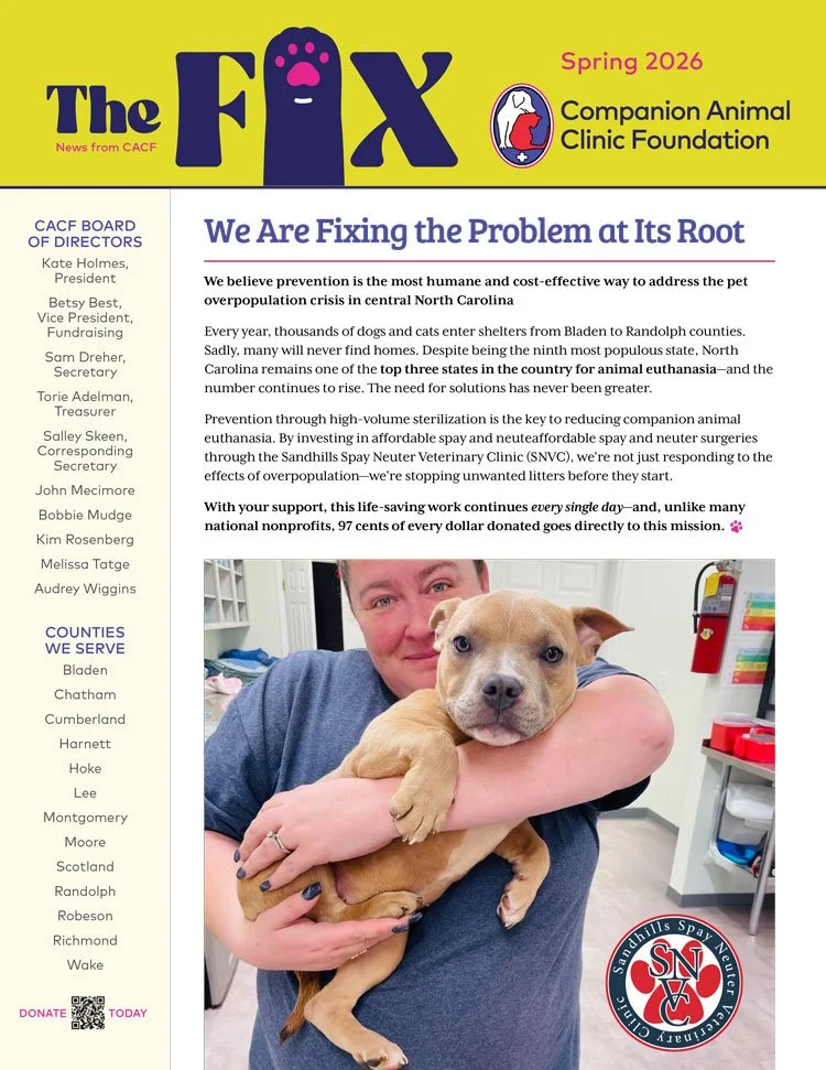 The Fix — Spring 2026 Newsletter
