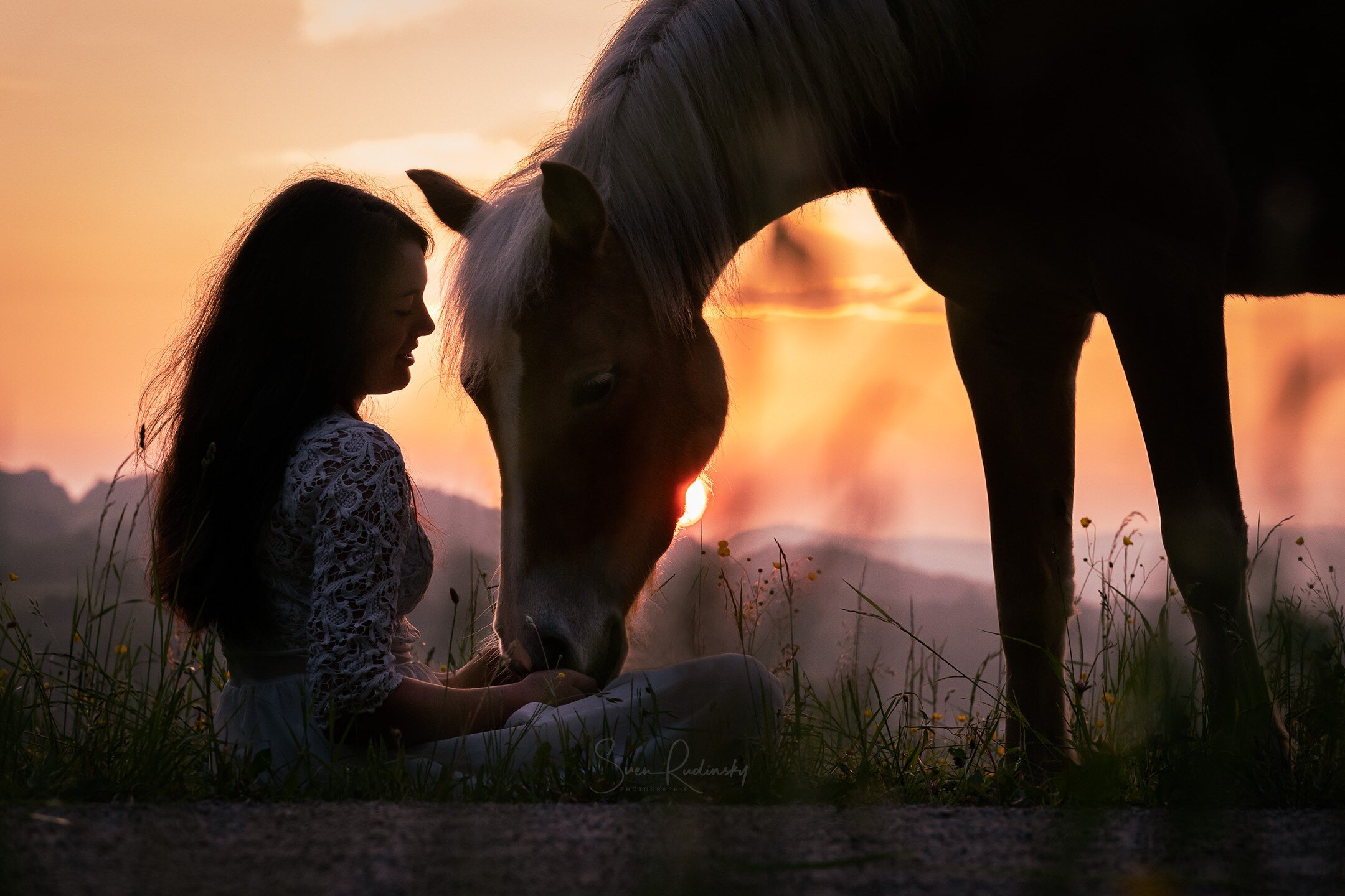 Pferdeshooting mit Lisa Marie Sch&uuml;&szlig;ler @1girl.and.2cows und Haflinger Mandy 🐴 bei Sonnenaufgang 🌞

#pferdeshooting #pferd #sonnenaufgangmitpferd #sonnenaufgang #haflinger #pferdem&auml;dchen #gl&uuml;cksmoment #horse #hobbyfotograf #foto