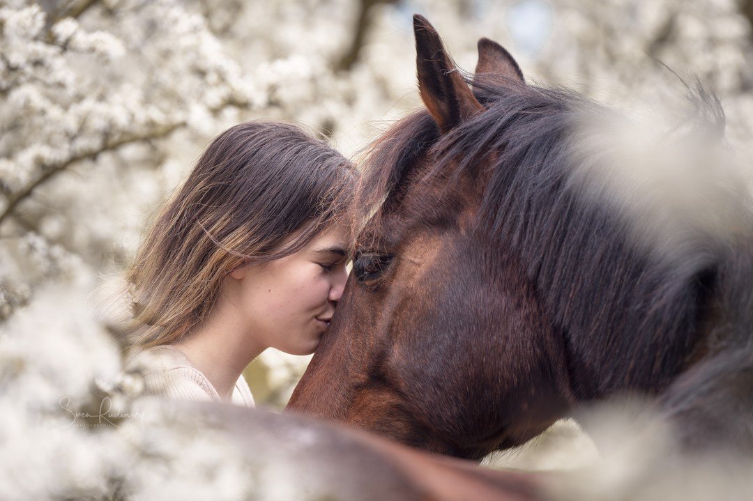 Tolles Fotoshooting mit @jasmin_snouky_ponyliebe , vielen Dank Jasmin 🤗

📷 Equipment:
- Sony Alpha 1
- Sony FE 70 200 GM II

#fotoshooting #pferdeshooting #bl&uuml;tenpracht #bl&uuml;tenzauber #horsephoto #equinephoto #horse #pferd #horsephotograph