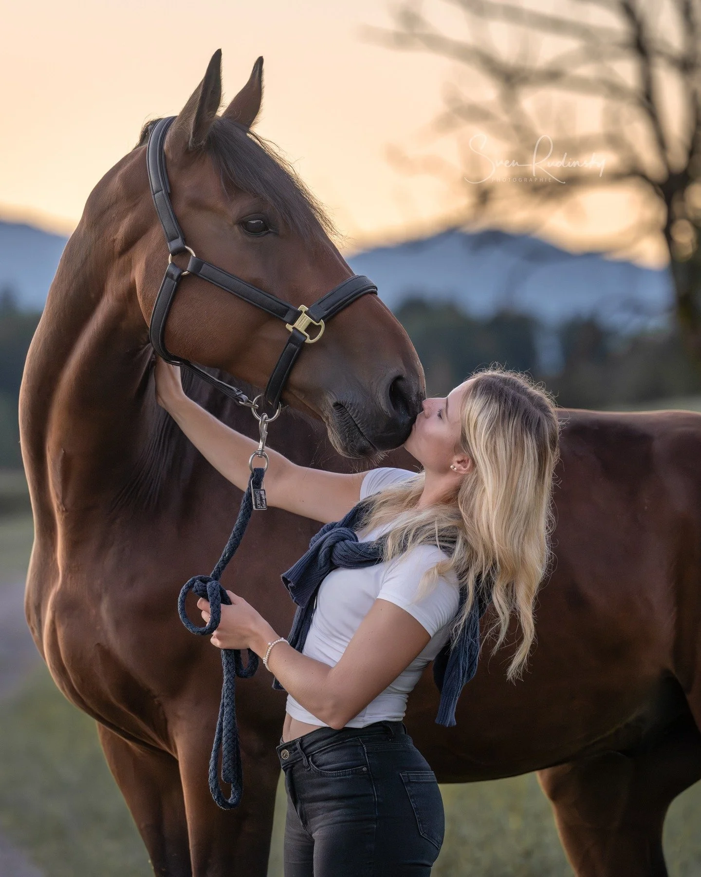 Fotoshooting bei Sonnenaufgang mit @joelleeileen_equestrian 😍

---

📷 Equipment:
- Sony Alpha A1
- Sony FE 70 200 GM II

---

#Photography #PortraitPhotography #EquinePhotography #HorsePhotography #OutdoorPhotography #NaturalLightPhotography #Sunri