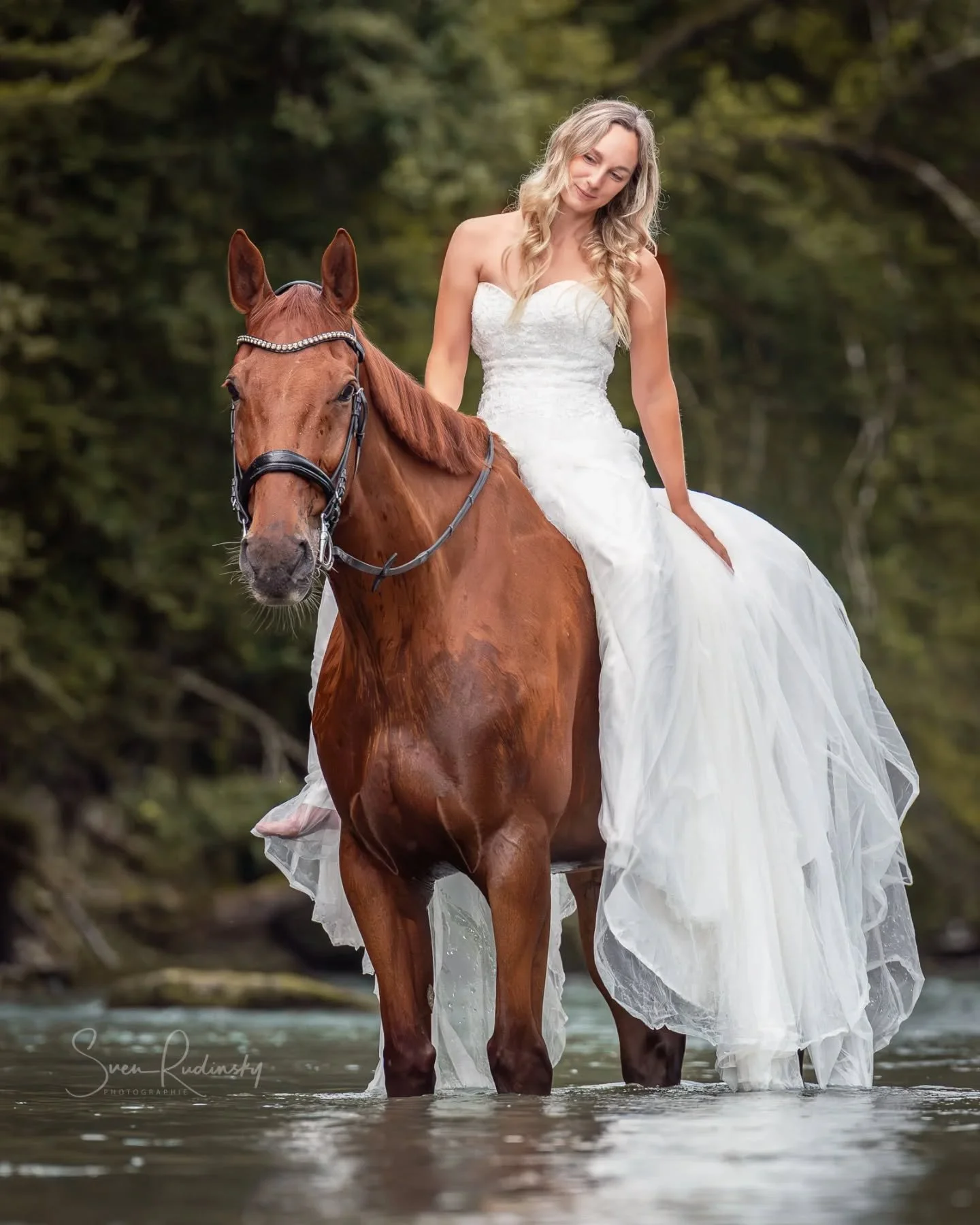 Fotografie bedeutet f&uuml;r mich, mehr als nur ein Bild zu machen &ndash; es ist das Festhalten von Erinnerungen, die man nicht vergisst.

Pferdeshooting mit @sarahsei90 🐴

--

📷 Equipment:
- Sony Alpha A1
- Sony FE 70 200 GM II

---

#pferdefotog