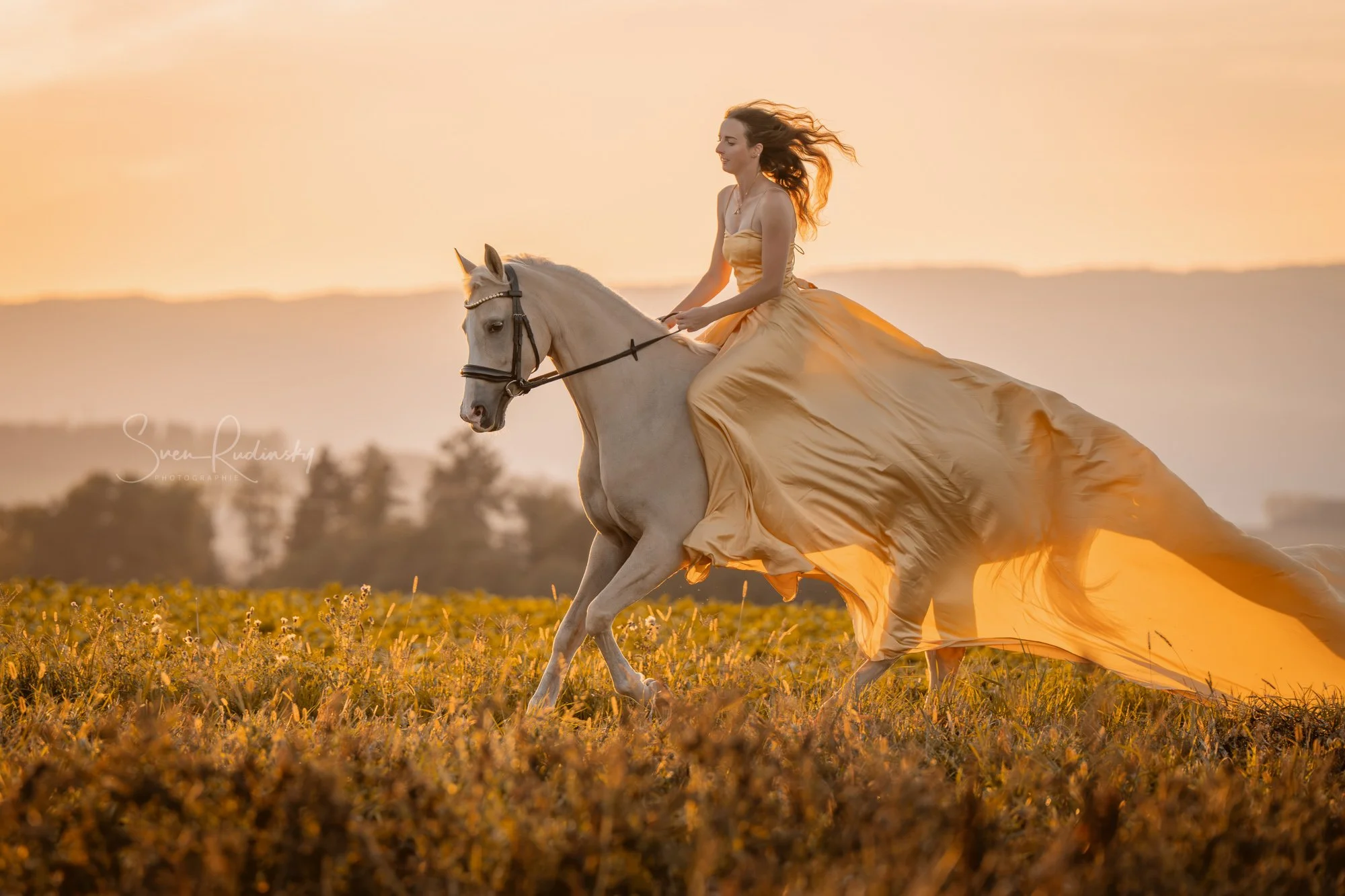 Ein Pferdeshooting mit einem besonders beliebten Outfit 🐎

Fotoshooting mit @saskiamelina.eq bei Sonnenuntergang 🌄

---

📷 Equipment:
- Sony Alpha A1
- Sony FE 70 200 GM II

---

#Photography #GoldenHour #DreamyScenes #FineArtPhotography #SonyAlph