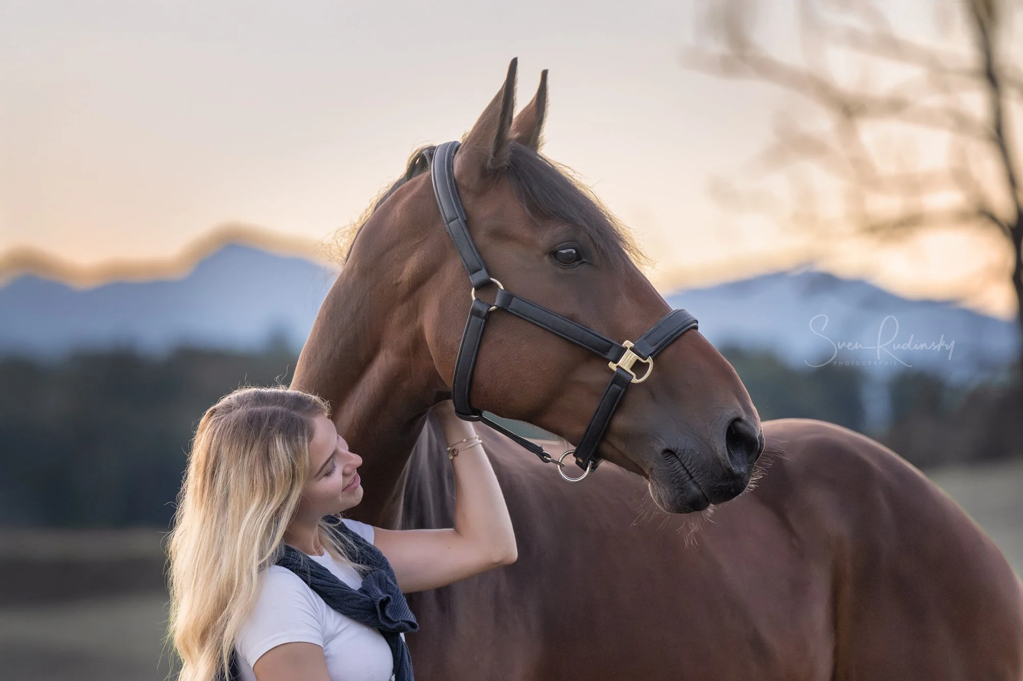Ein weiteres Foto aus dem Pferdeshooting bei Sonnenaufgang mit @joelleeileen_equestrian 😍

--

📷 Equipment:
- Sony Alpha A1
- Sony FE 70 200 GM II

---

#Photography #PortraitPhotography #EquinePhotography #HorsePhotography #OutdoorPhotography #Nat