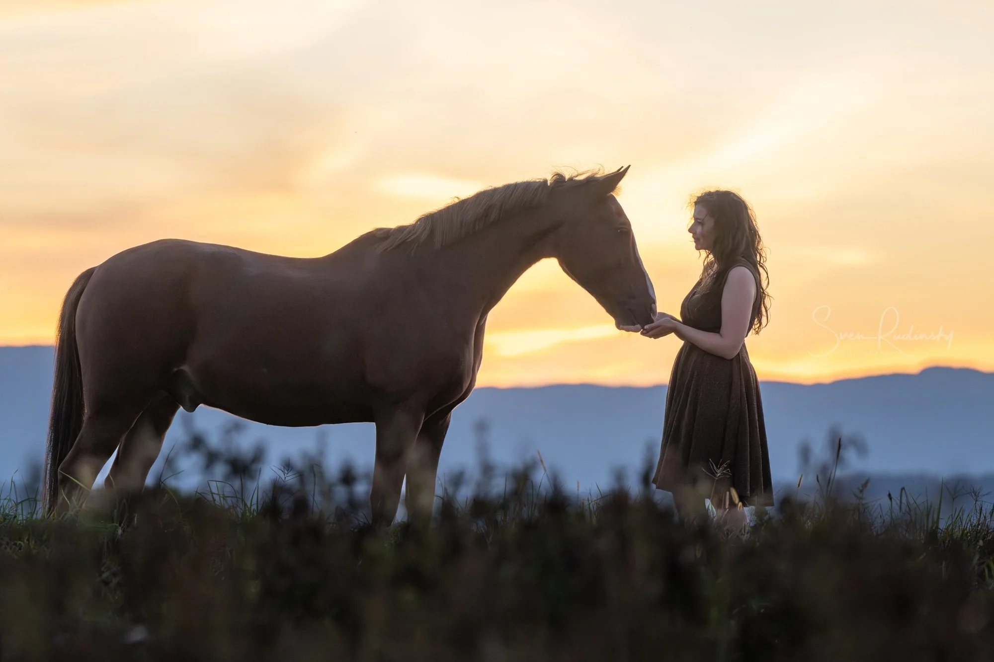 Sonnenuntergang mit @lui_lenti 🐴

---

📷 Equipment:
- Sony Alpha A1
- Sony FE 70 200 GM II

---

#Photography #GoldenHour #DreamyScenes #FineArtPhotography #SonyAlpha #HorsePhotography #EquestrianLife #HorseLovers #Pferdeliebe #Pferdeshooting #Inst