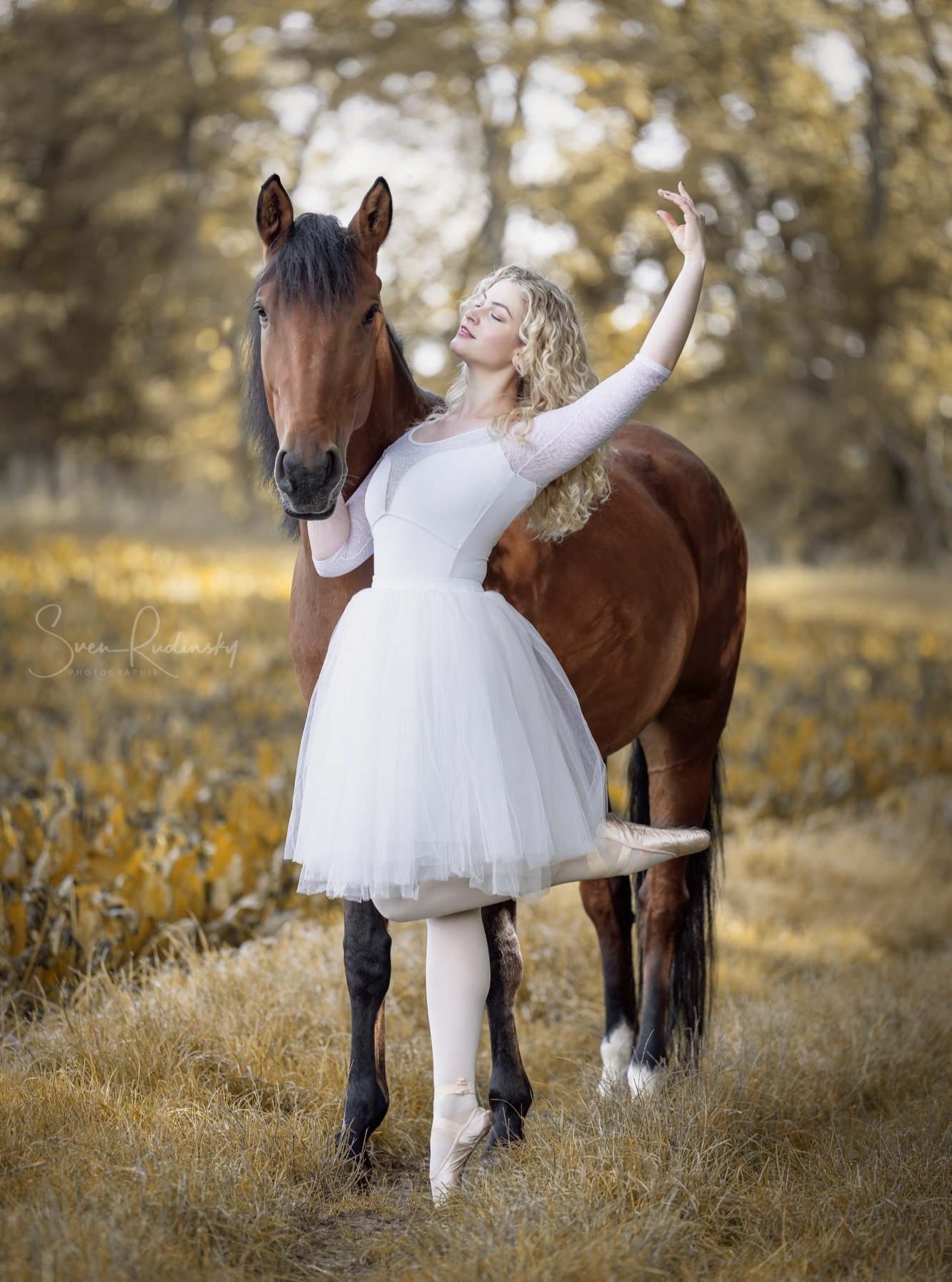 Mal wieder eine Kombination mit Ballett 🩰 und Pferd 🐴

Vielen Dank @_ariamarie__ 🤗

---

📷 Equipment:
- Sony Alpha A1
- Sony FE 70 200 GM II

---

#fotografie #fotografieren #naturfotografie #pferdefotografie #ballettfotografie #tanzfotografie #p