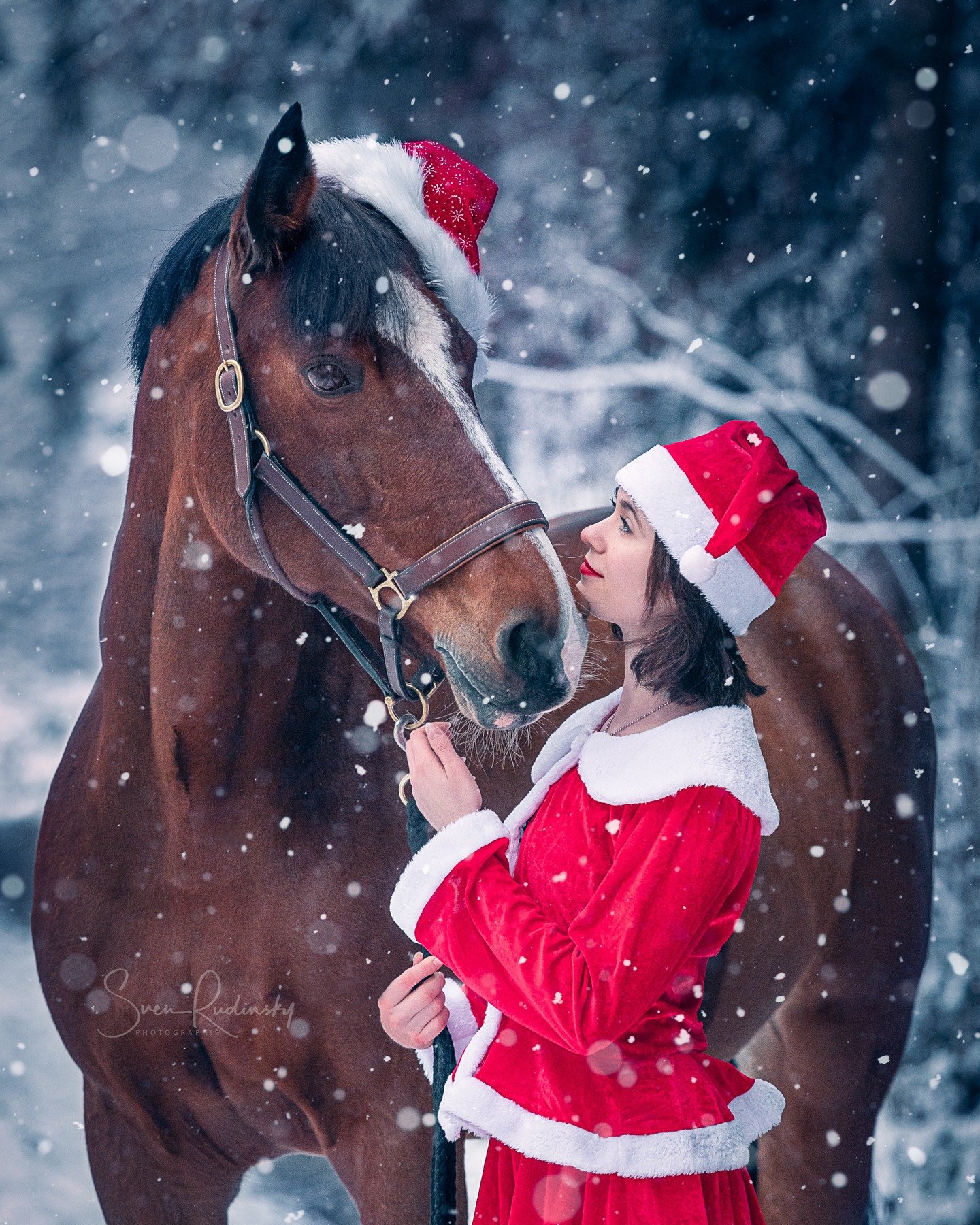 Etwas Weihnachtliches 🎄✨: Fotoshooting 2022 mit @chiara.aurora_m 🤗

---

📷 Equipment:
- Sony Alpha A9
- Sony FE 70 200 GM

---

#weihnachten #advent #fotoshooting #portrait #winterzauber #winterm&auml;rchen #portraitinspiration #fotoshootingimschn