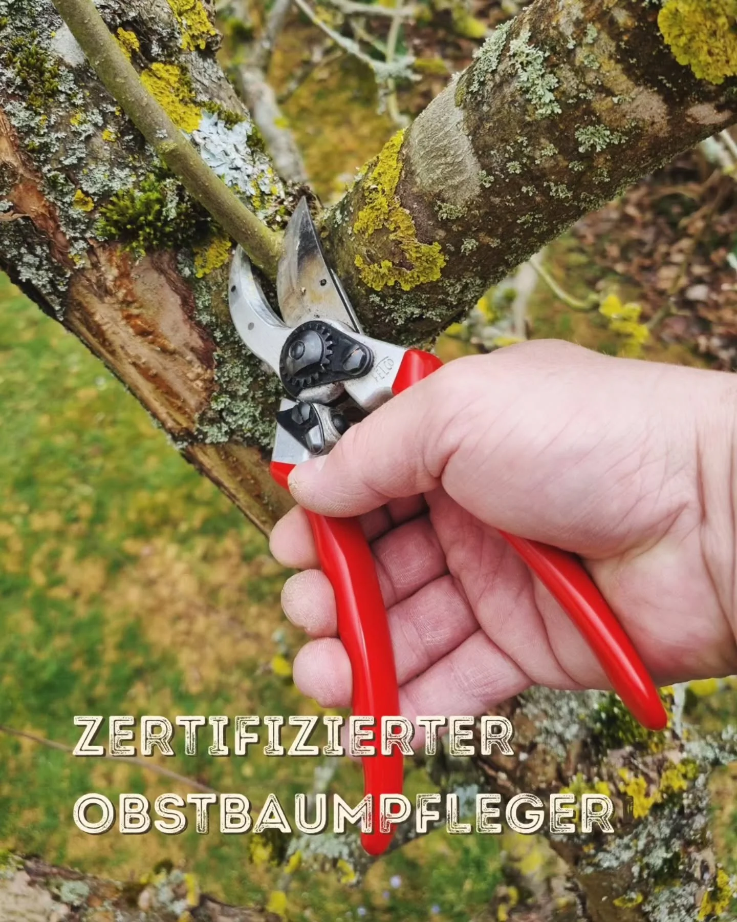 🌳 Ich bin zertifizierter Obstbaumpfleger! 🌳

Den Lehrgang beim Verband der Kreisfachberatung f&uuml;r Gartenbau und Landschaftspflege habe ich erfolgreich bestanden, mit viel neuem Wissen, spannenden Praxiseinheiten und wertvollem Austausch unter P
