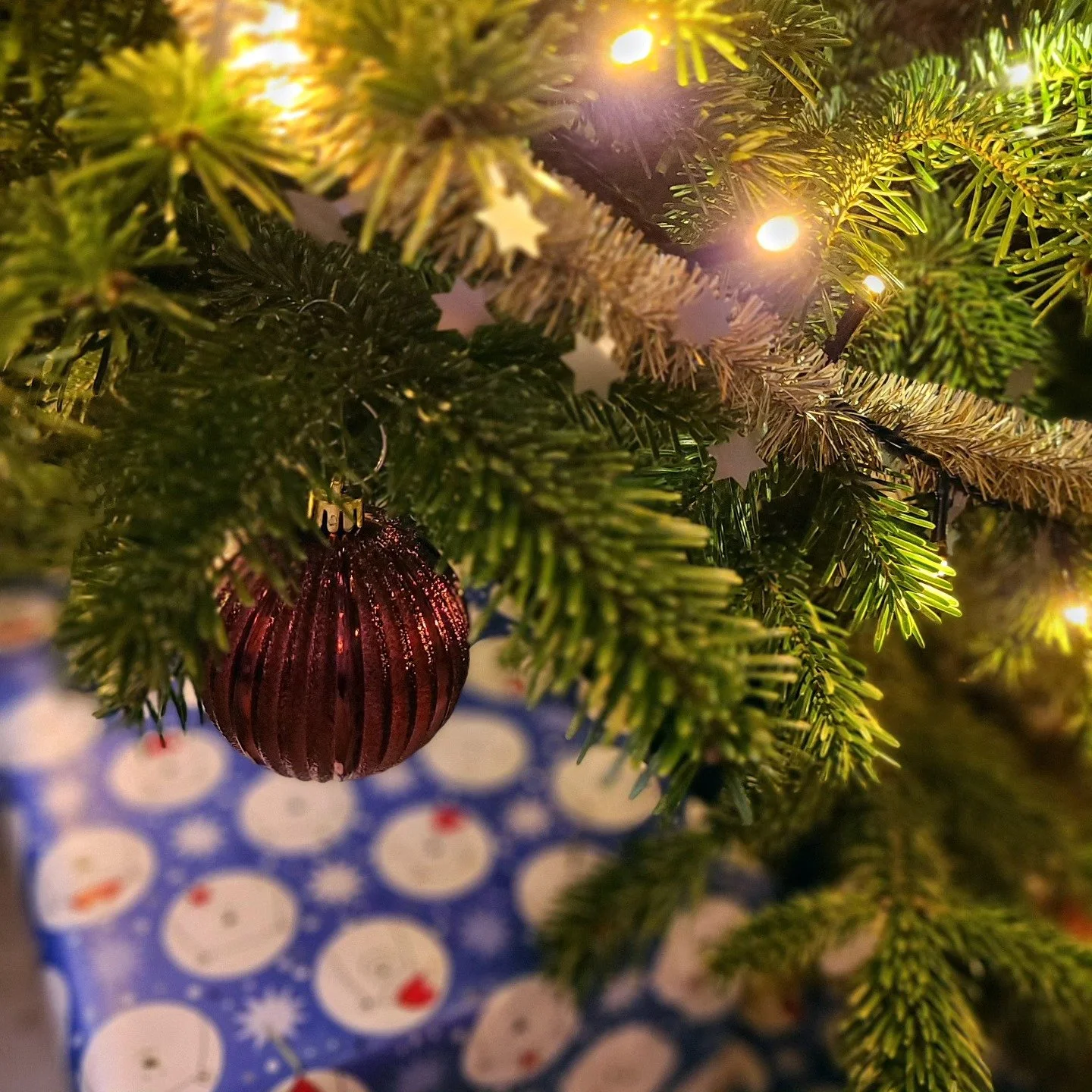 🎄 DANKE 🎄
Ich w&uuml;nsche allen Kunden, Freunden und Bekannten ein frohes und gesundes Fest und einen guten Rutsch ins neue Jahr!
Ab dem 7. Januar bin ich wieder f&uuml;r euch da!

#froheweihachten #merrychristmas #merryxmas #cnservices