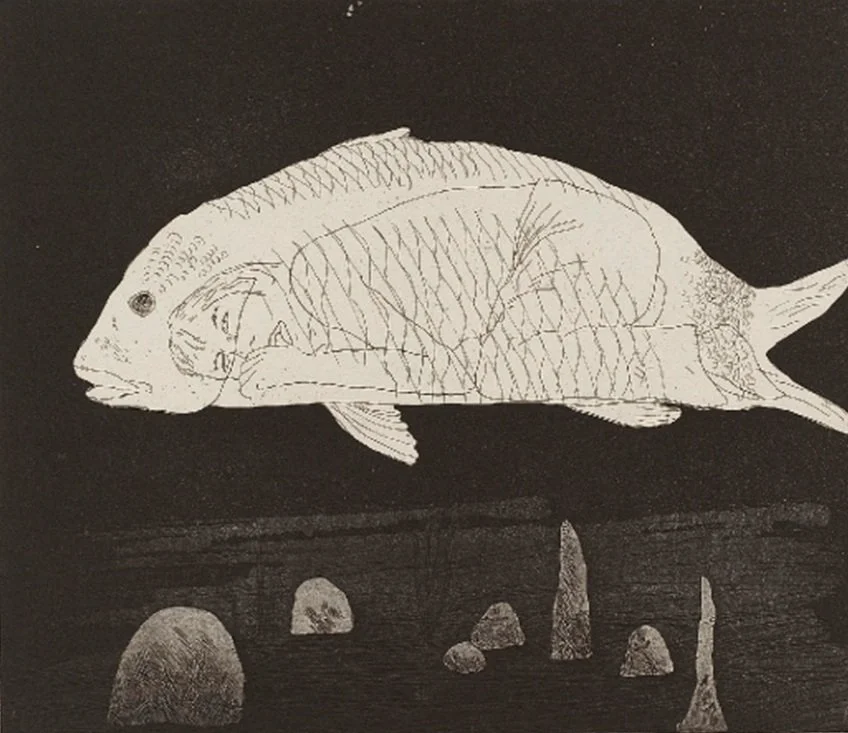 The Boy Hidden in a Fish