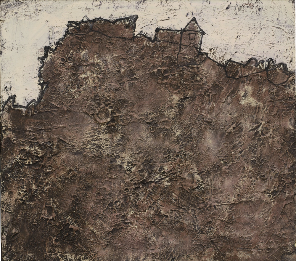 Paysage Aux Végétations