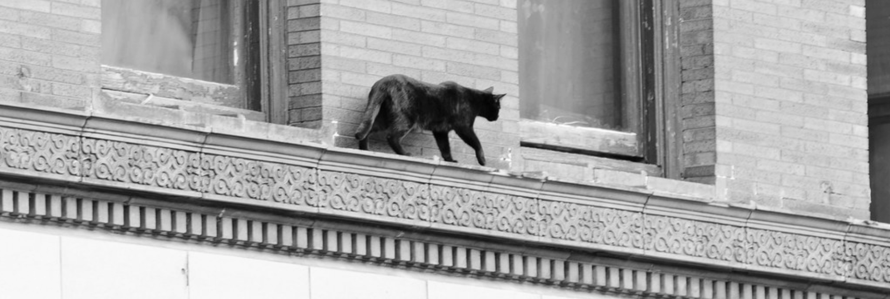 Screenshot 2026-01-10 at 00.46.30.png