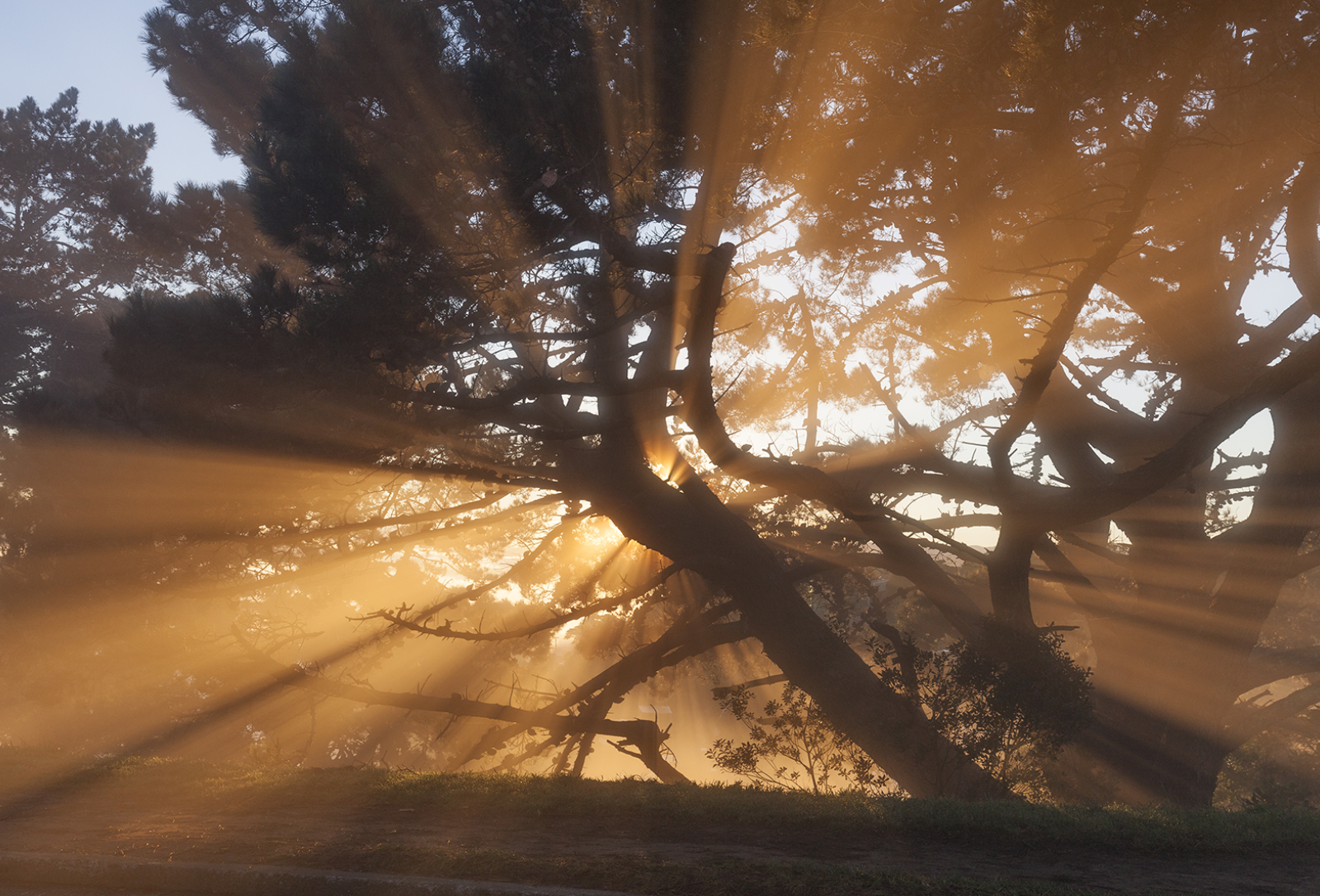 2026 February Newsletter