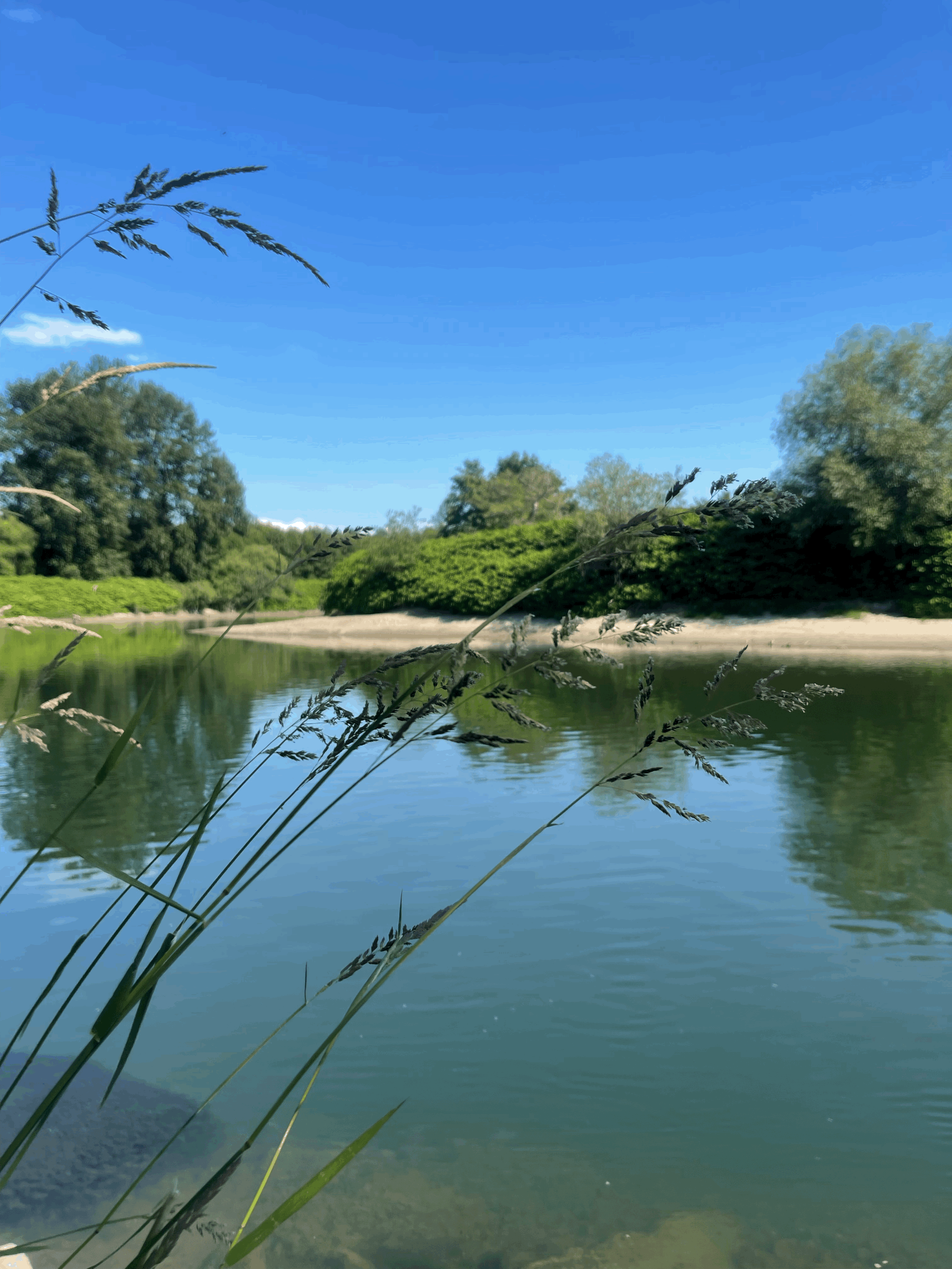 Go with the Flow- Skip the Sound and Live by the River