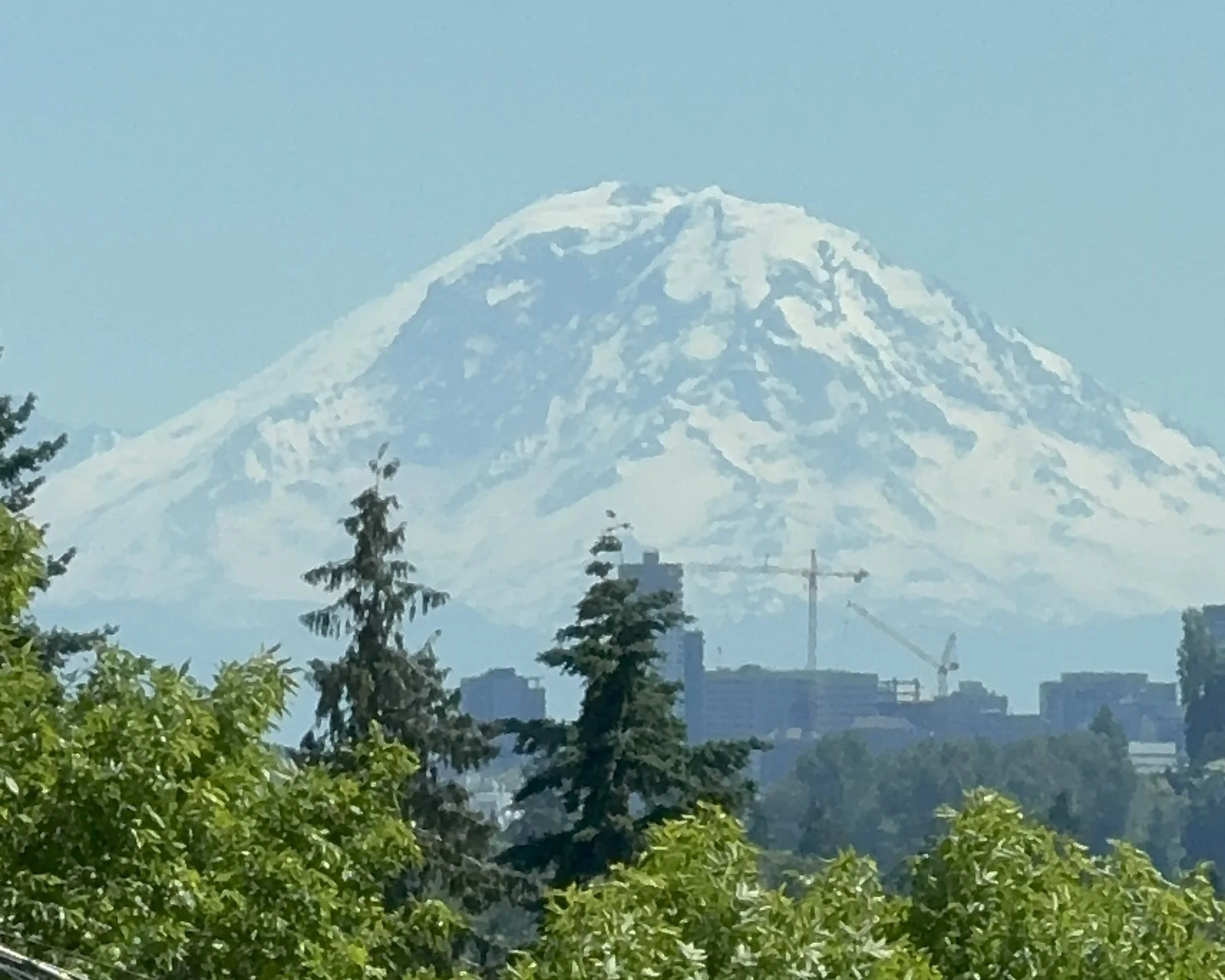Seattle's Housing Market Runs on a Schedule