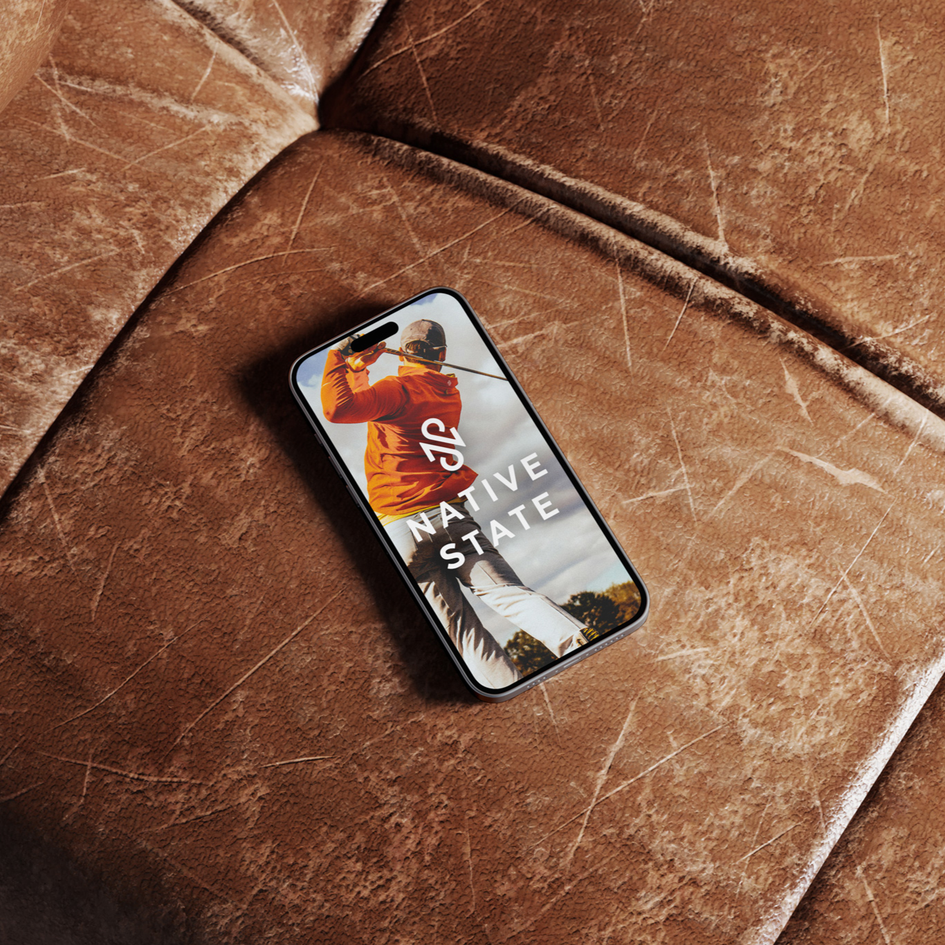 NS+Phone.png