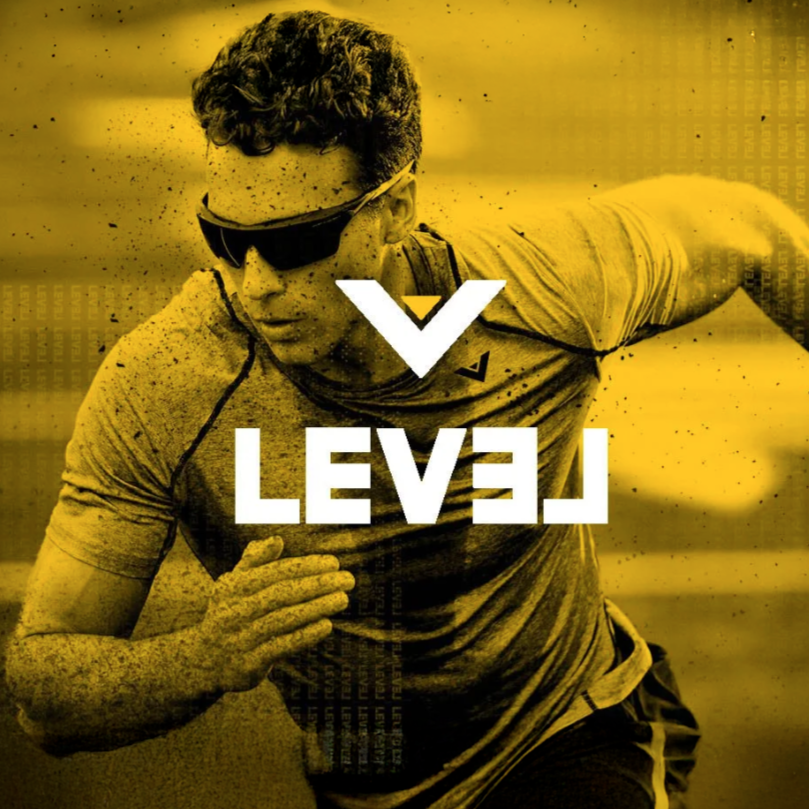 Level.png
