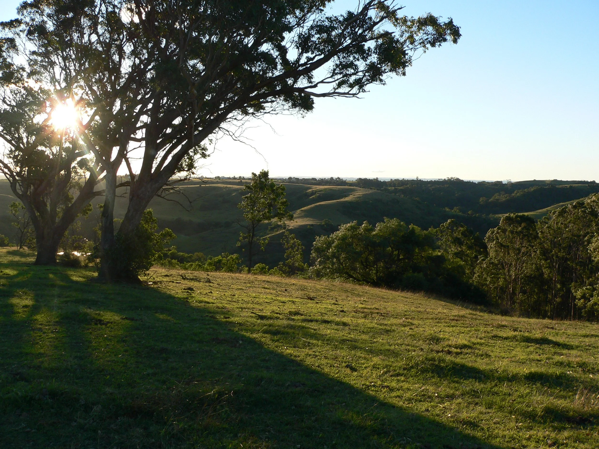 Macarthur Region Property Guide — What Buyers Need to Know