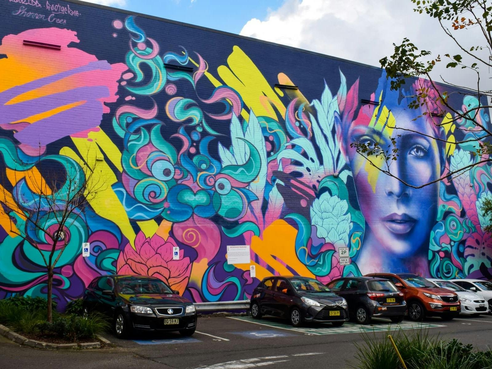 Colorful mural of a woman's face with pink hair, surrounded by abstract shapes, swirls, and floral patterns on a building wall, with parked cars in front.