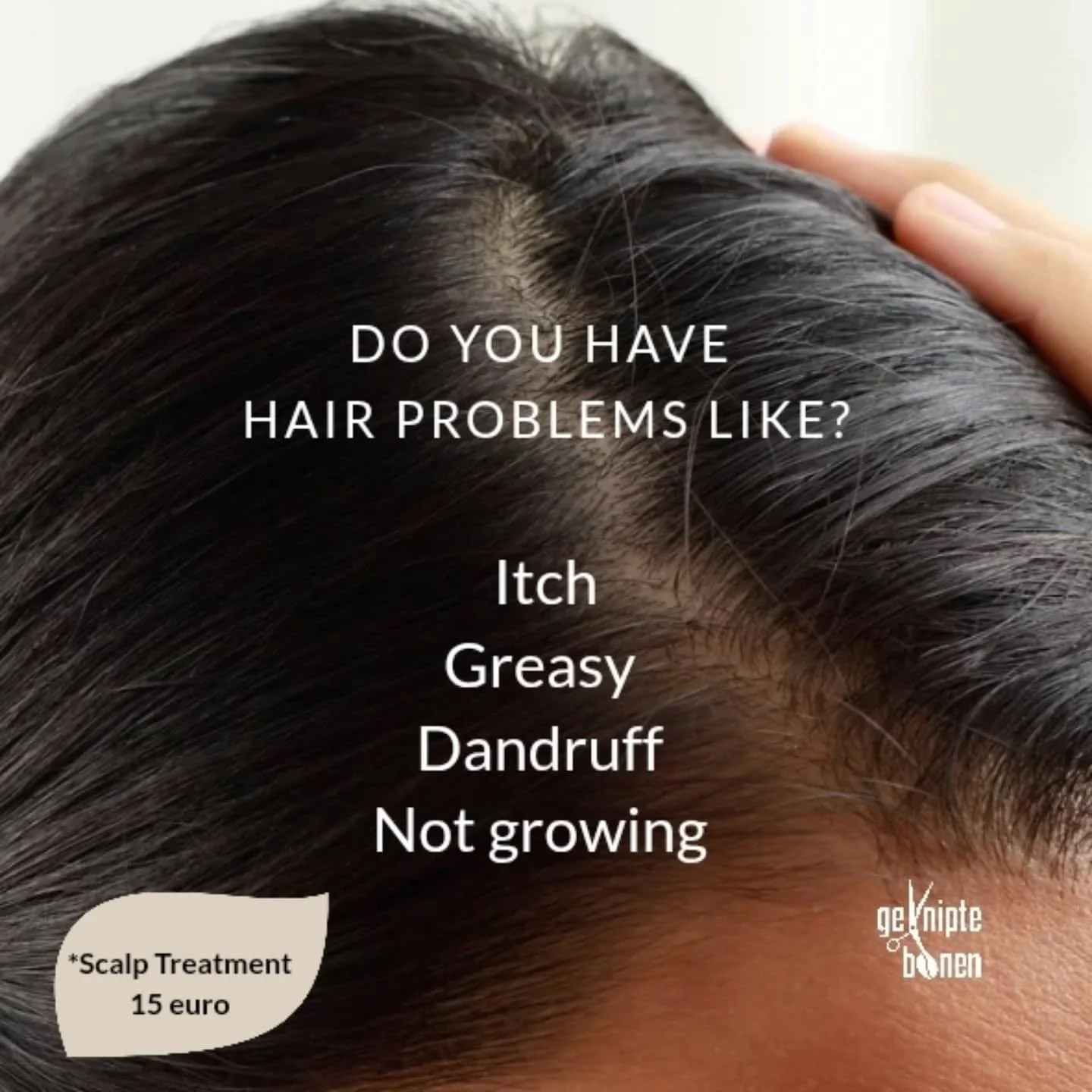 *Scalp Treatment als toevoeging aan jouw service voor maar 15 euro. 

Ook los te boeken als Treatment inclusief geweldige styling, waardoor je je helemaal hot en sexy voelt. Deze maand als promotie voor slechts 35 euro!

#gekniptebonen #declercqstraa