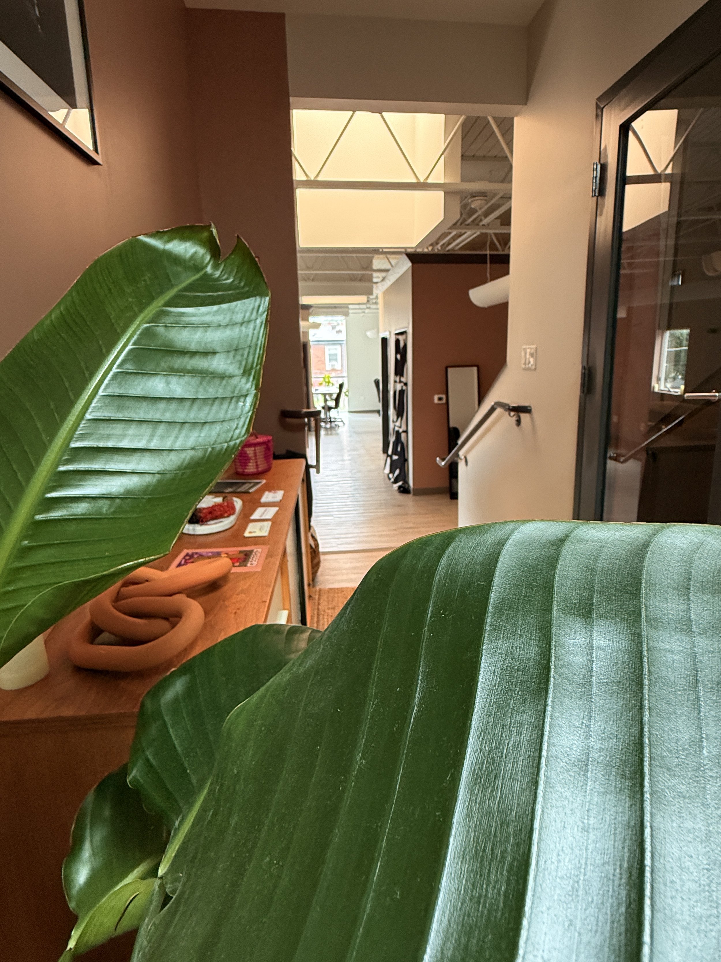 Interior of a modern office or reception area with large green tropical leaves in the foreground, wooden furniture, a hallway leading to a bright open space, and large windows letting in natural light.