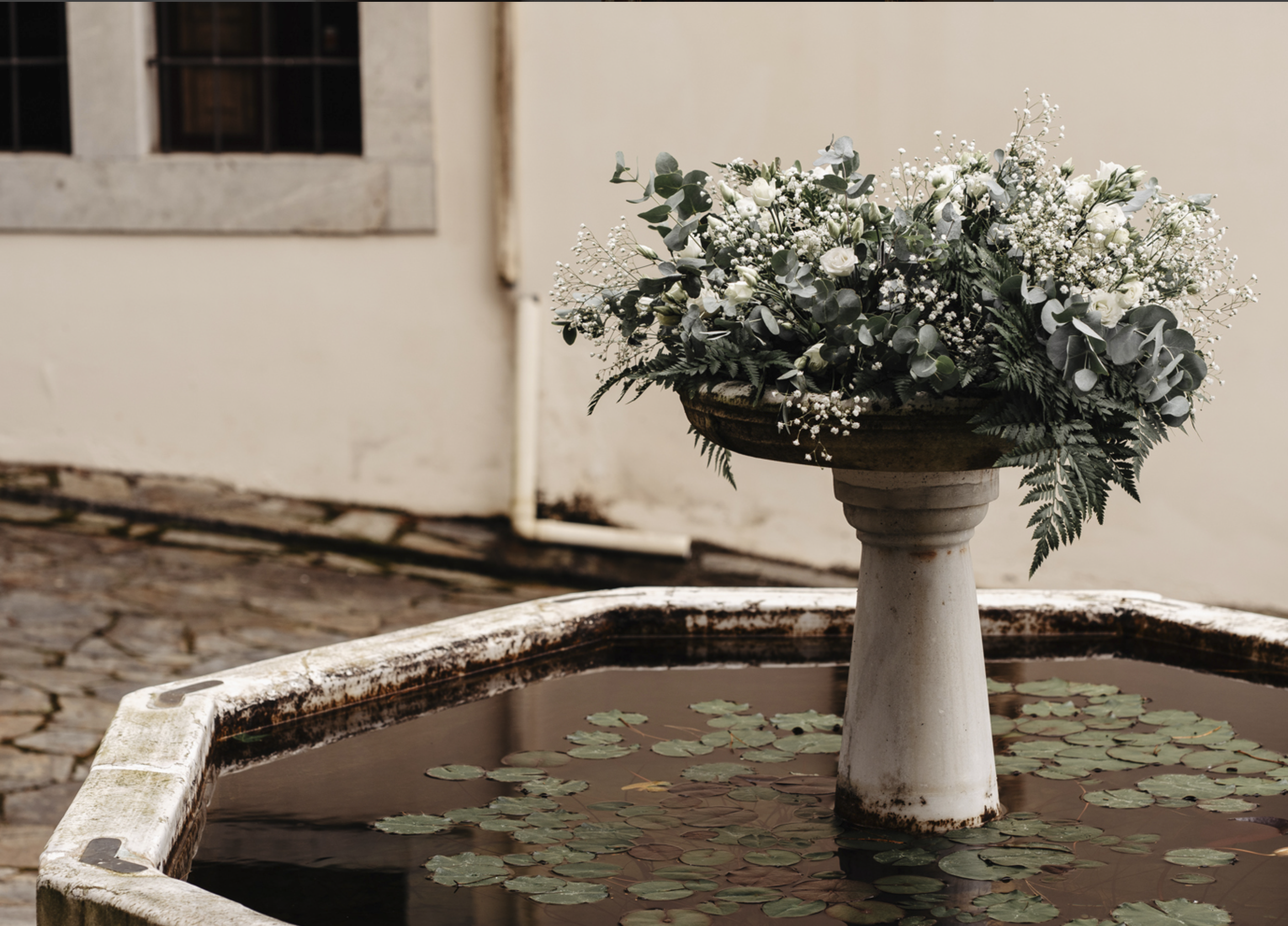 Captura de pantalla 2026-01-28 a las 9.48.49.png