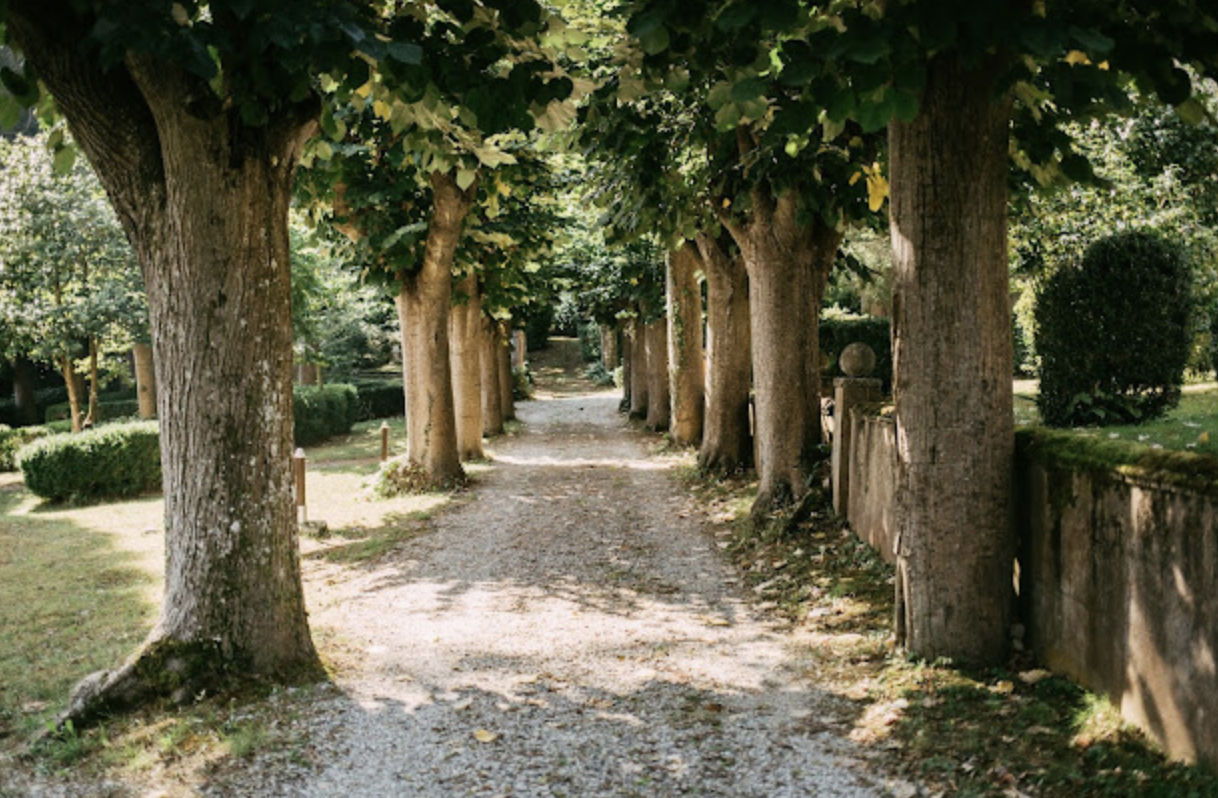 Camino de tierra bordeado por árboles frondosos y arbustos, en un parque o jardín