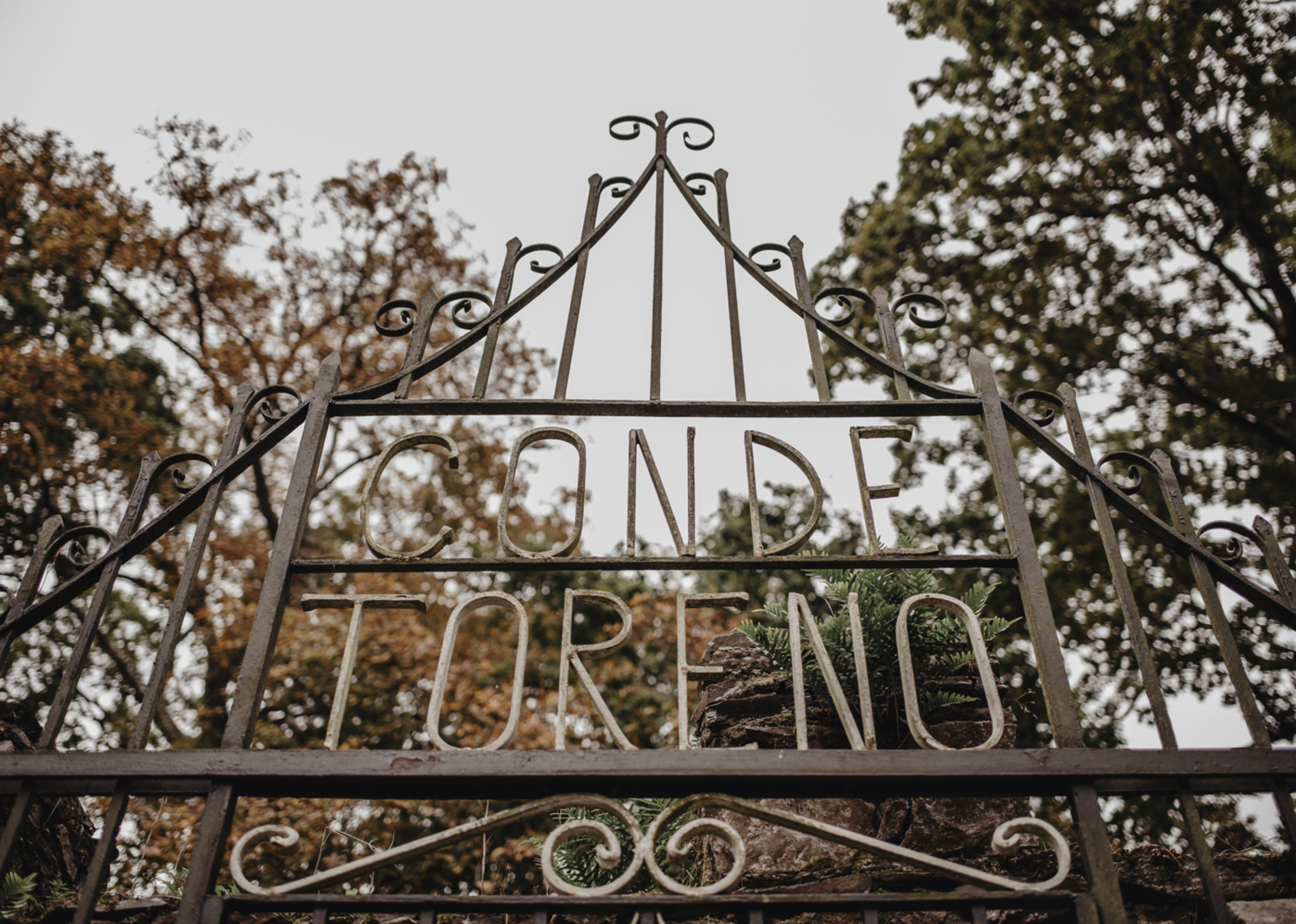 Captura de pantalla 2026-01-28 a las 9.50.09.png