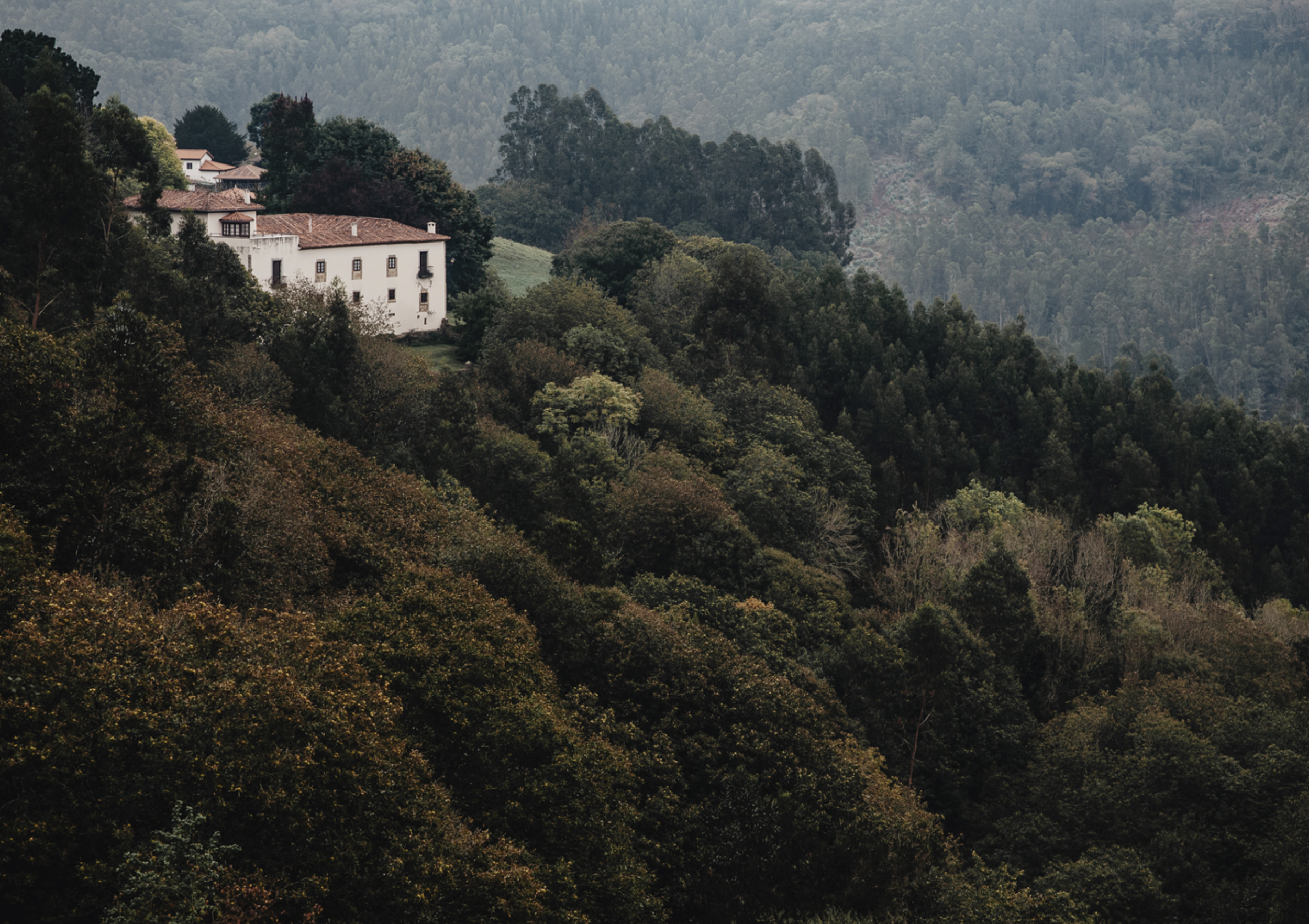 Captura de pantalla 2026-01-28 a las 9.50.29.png