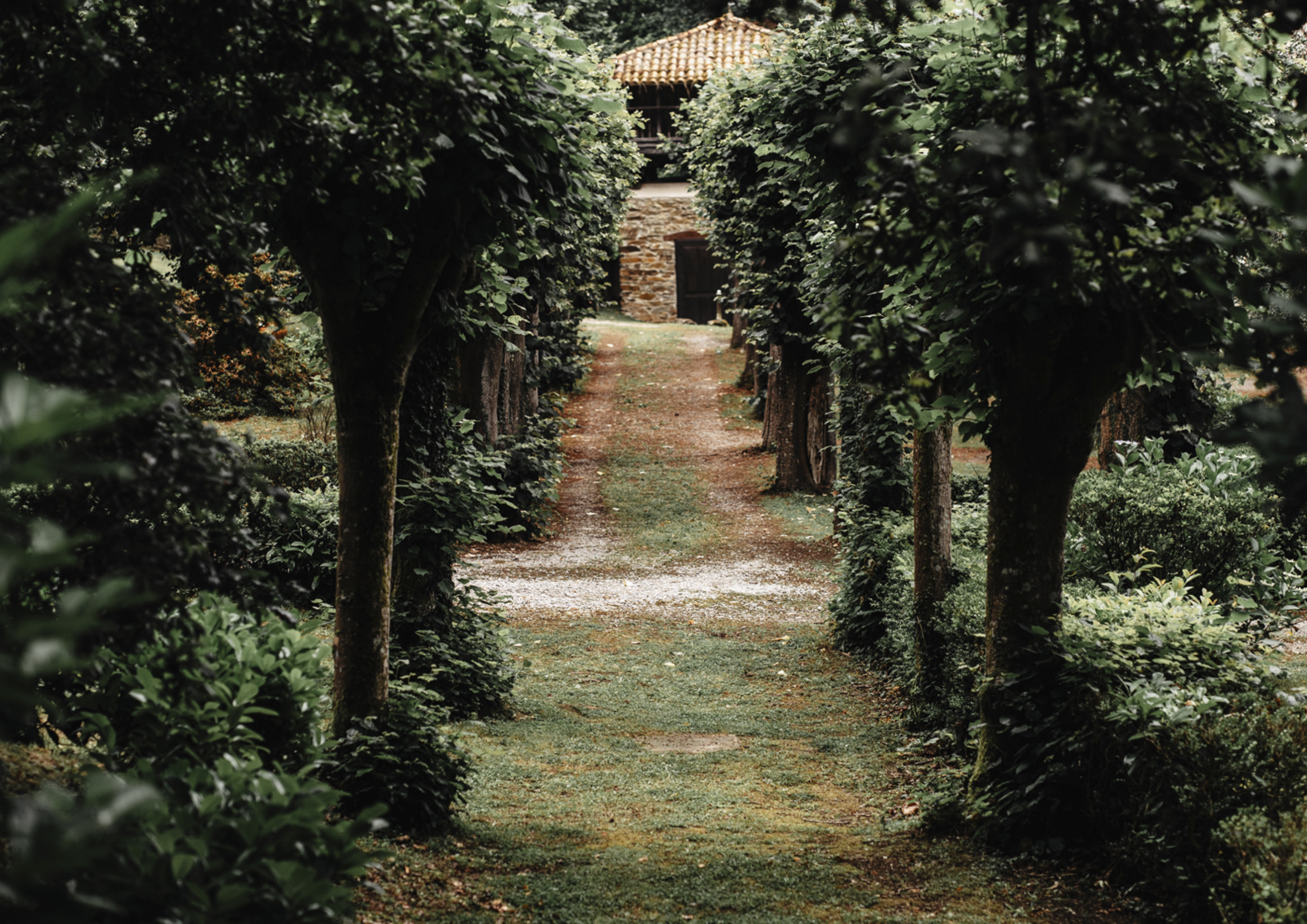 Captura de pantalla 2026-01-28 a las 9.49.47.png