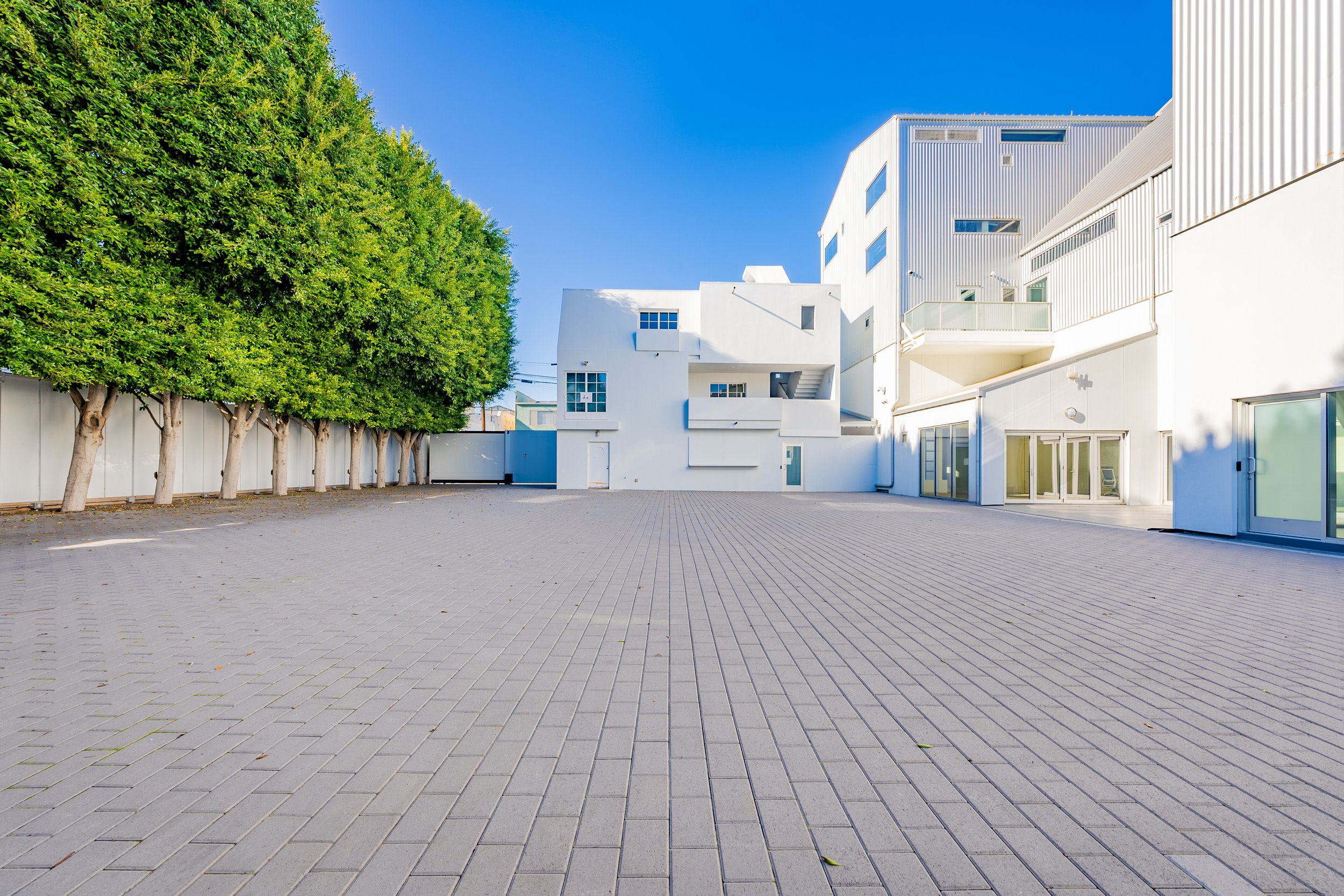 Tree-lined privet courtyard