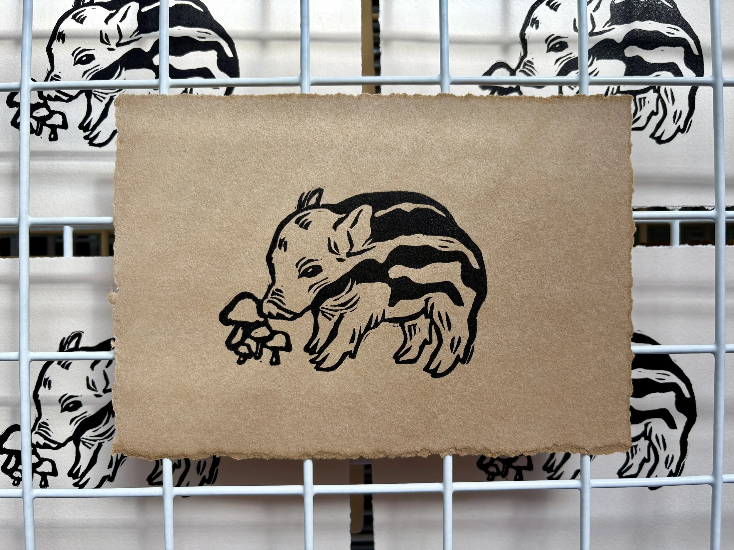 Obsessed with the stripes on this baby boar.
