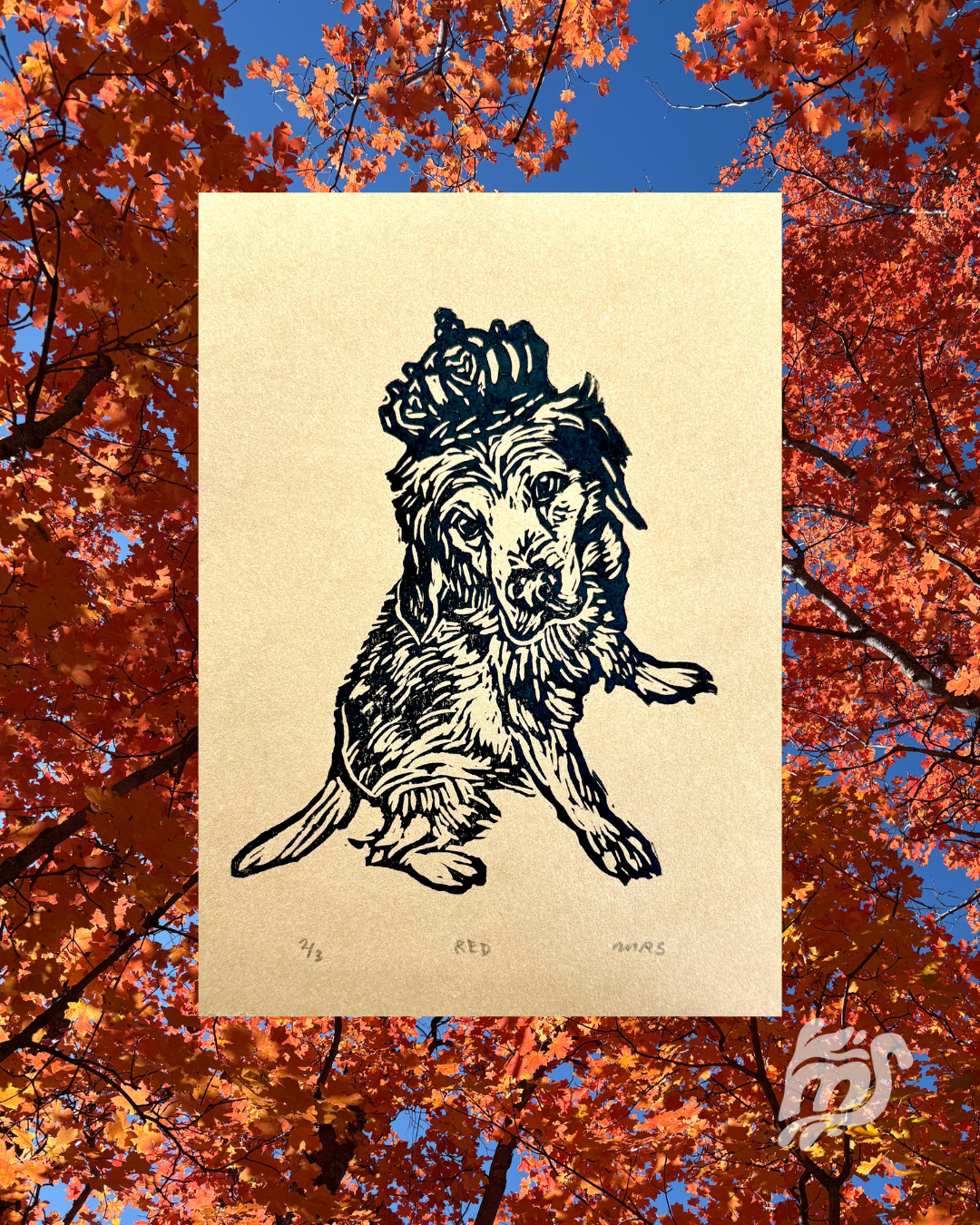 A cute pet portrait I created for one of my side hustle cat-sitting clients of his family dog, Red. Such a cutie!