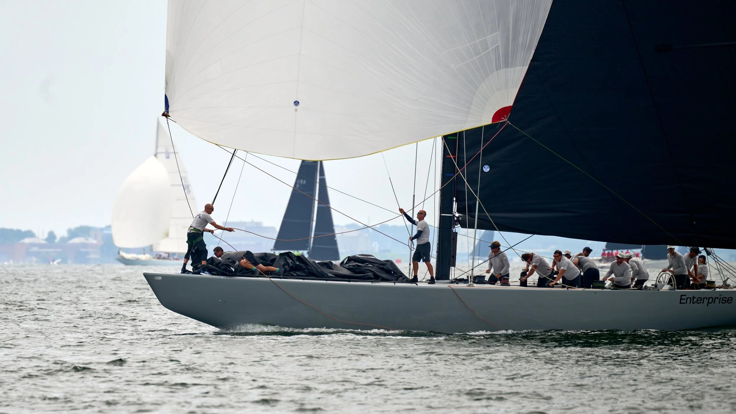 NZ8_1197Newport Regatta 2023Jul 09 2023.jpg