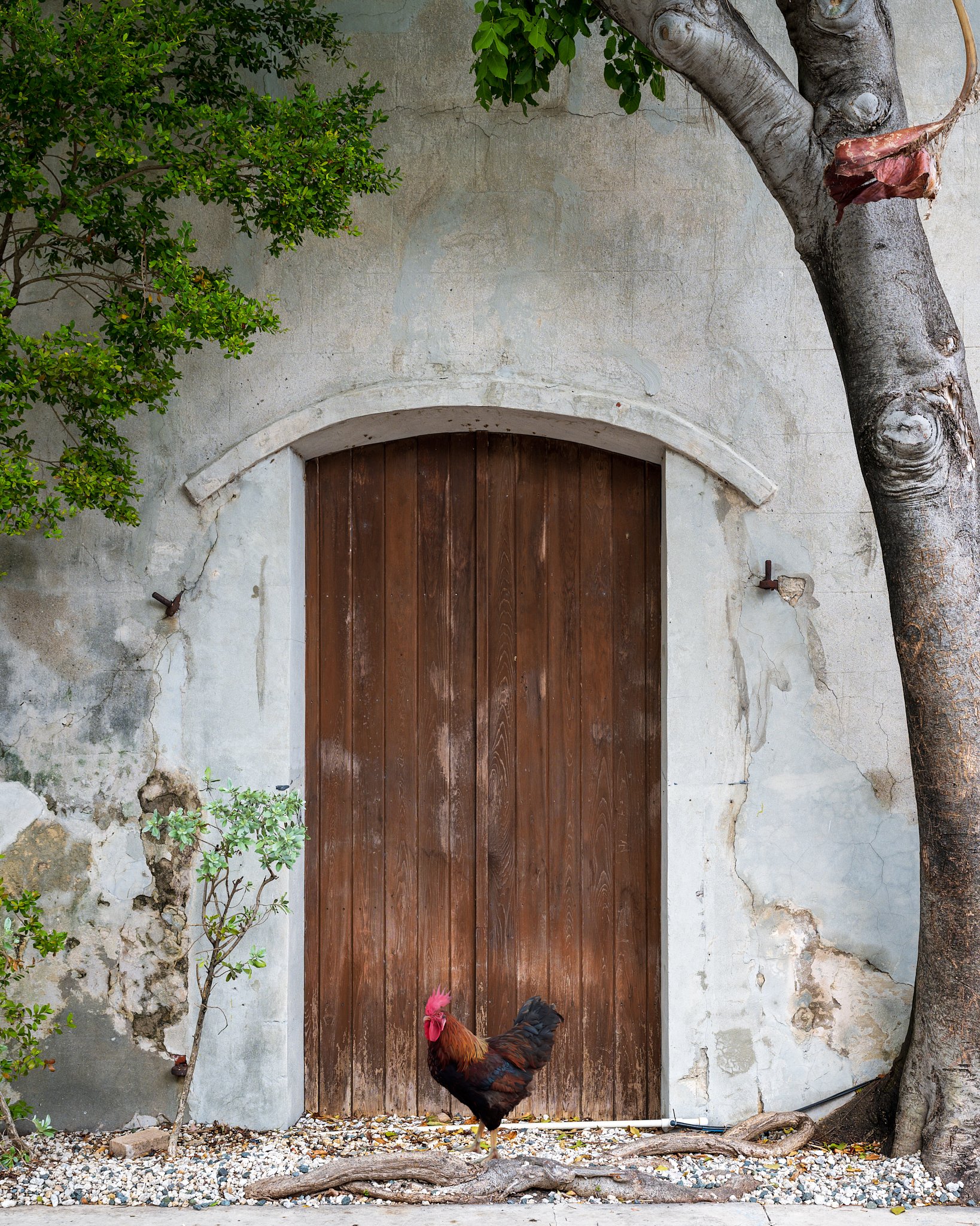 Key West Tourism Photography