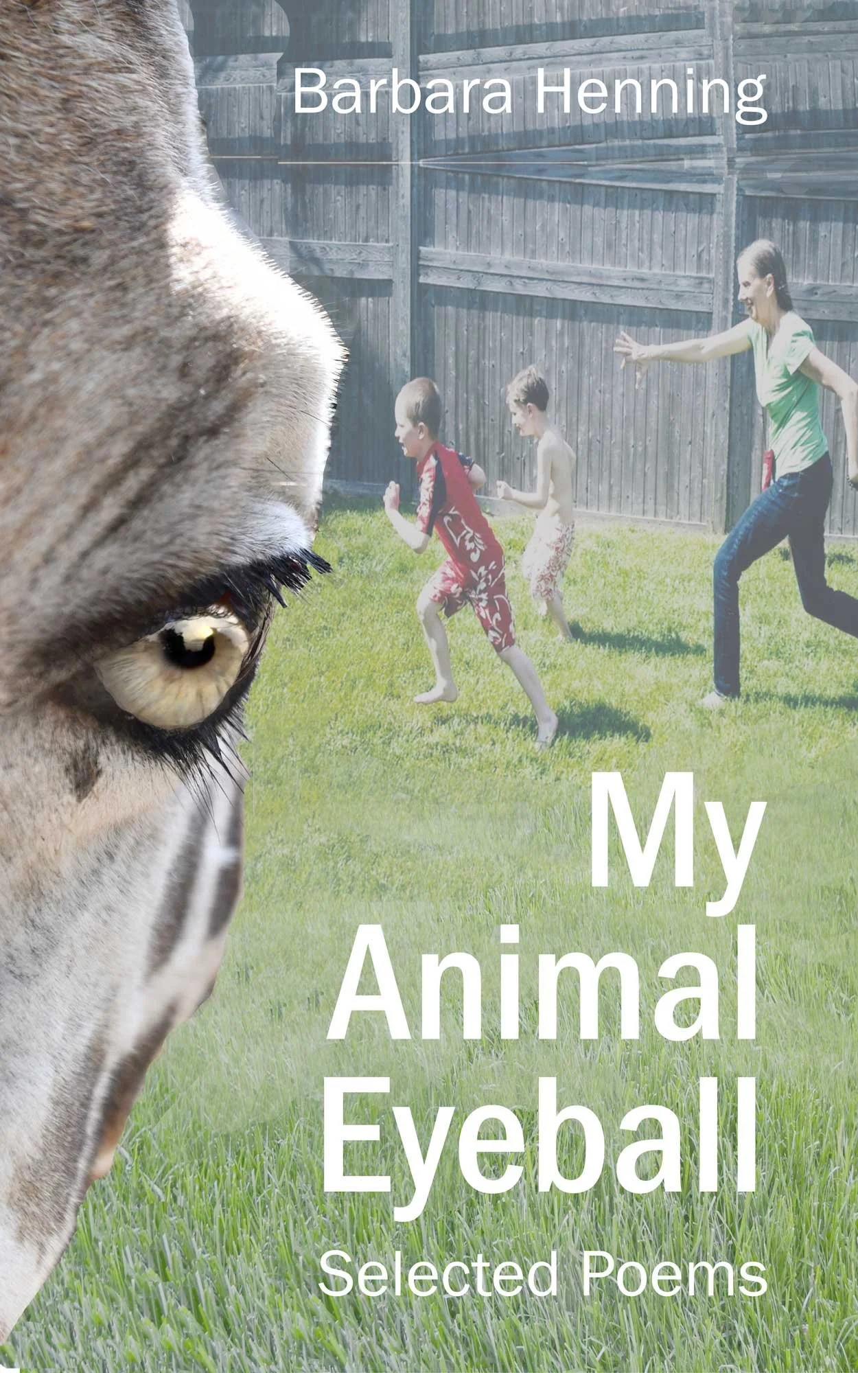 My Animal Eyeball