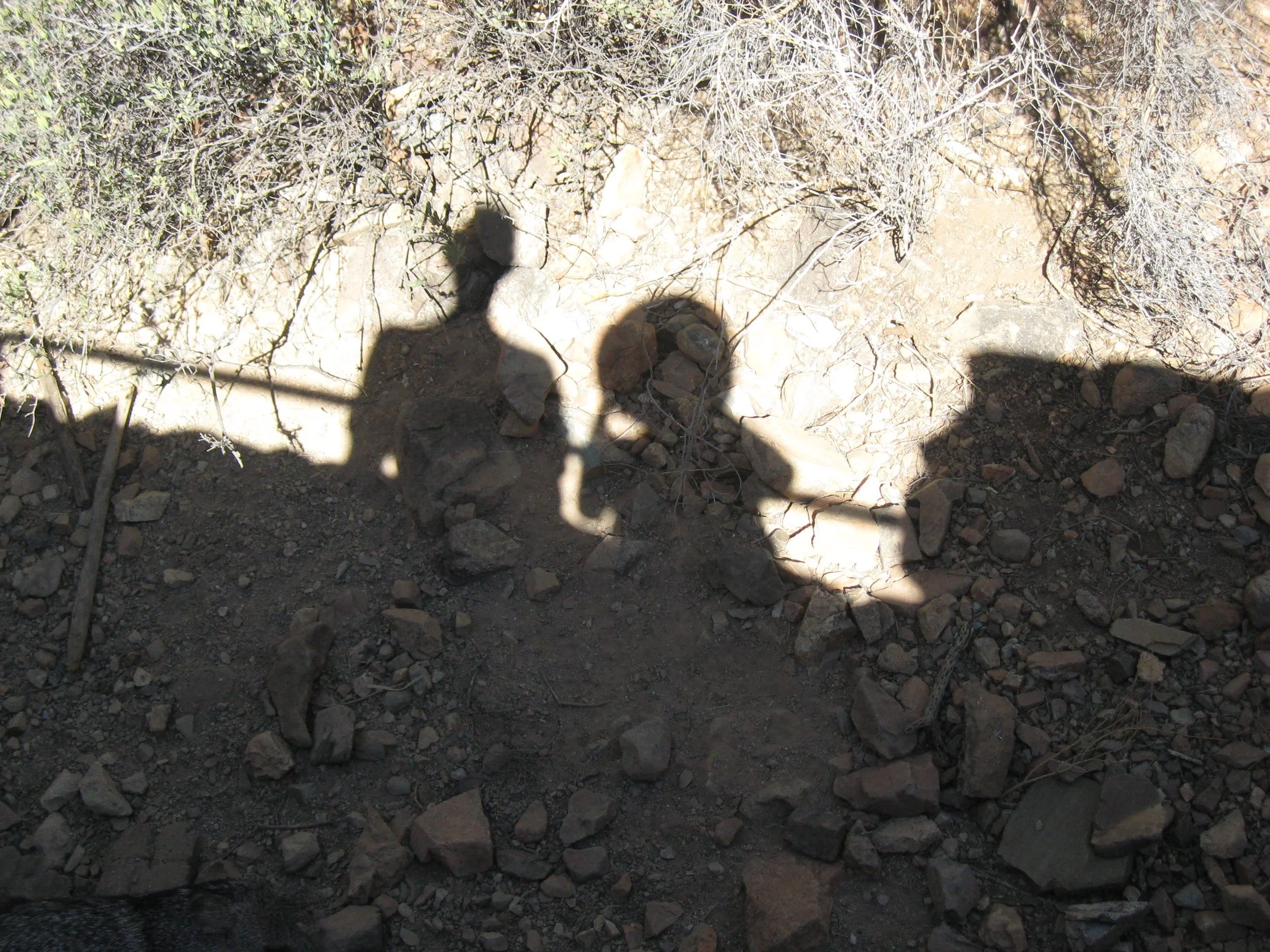
Kit Robinson and Barbara, shadows at the Desert Museum in Tucson, October 24, 2009 
