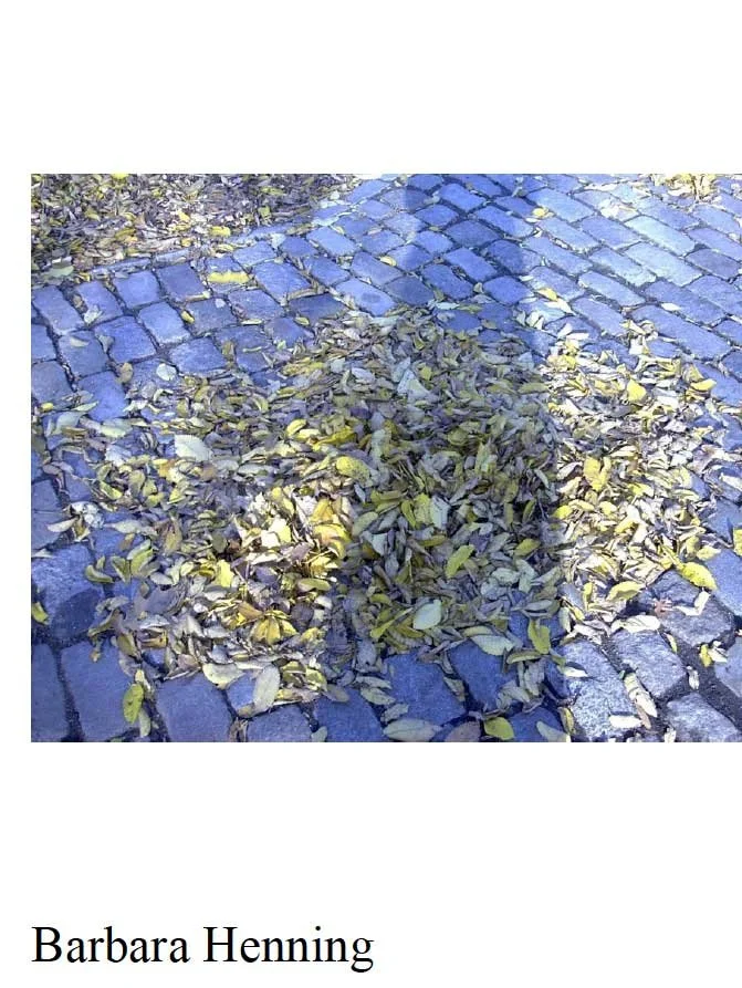 2003-Found-in-Park.jpg