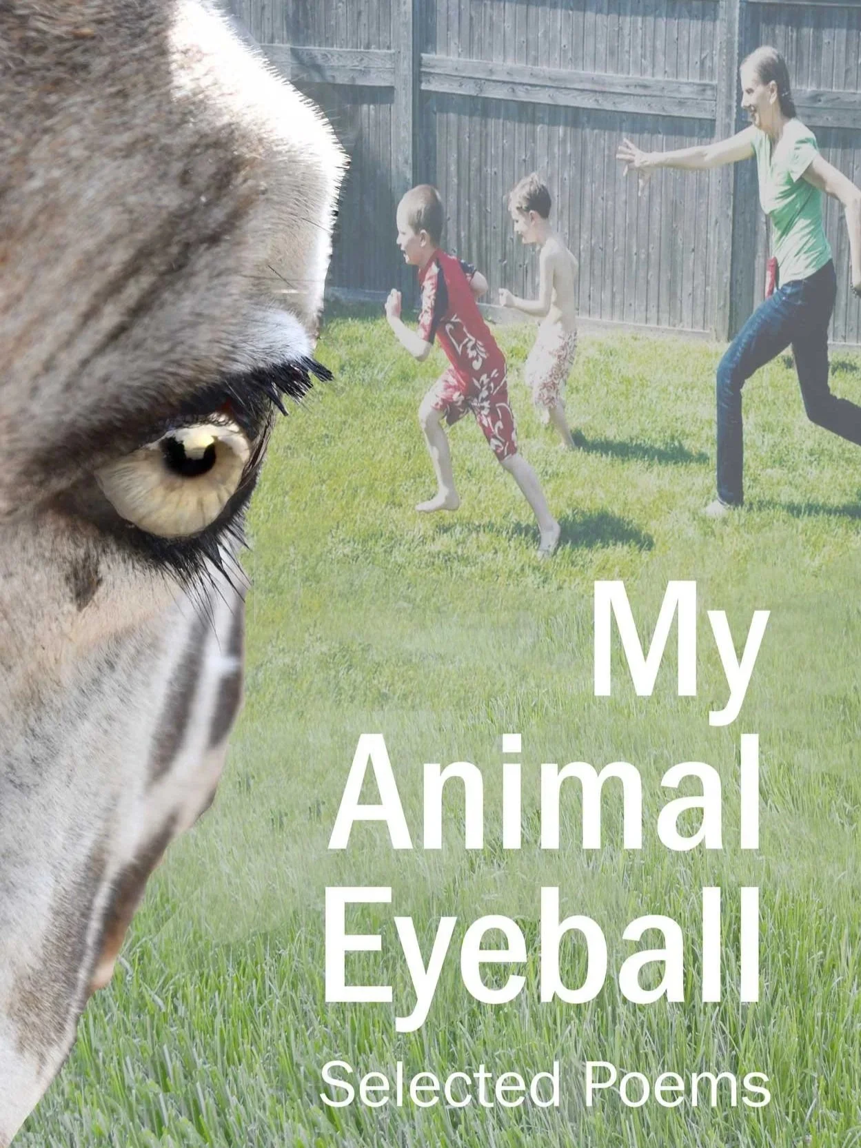 My Animal Eyeball (Forthcoming: January 2027)