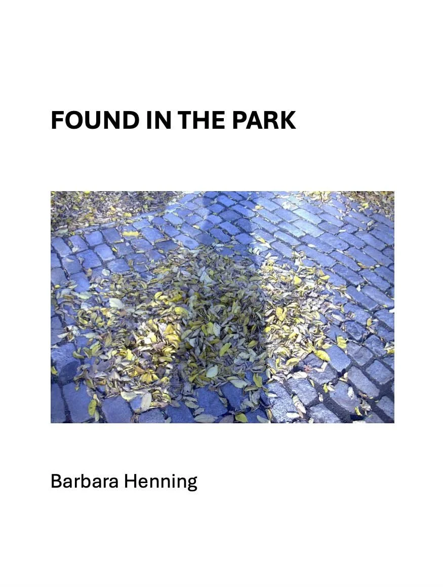 Found-in-the-Park.jpg
