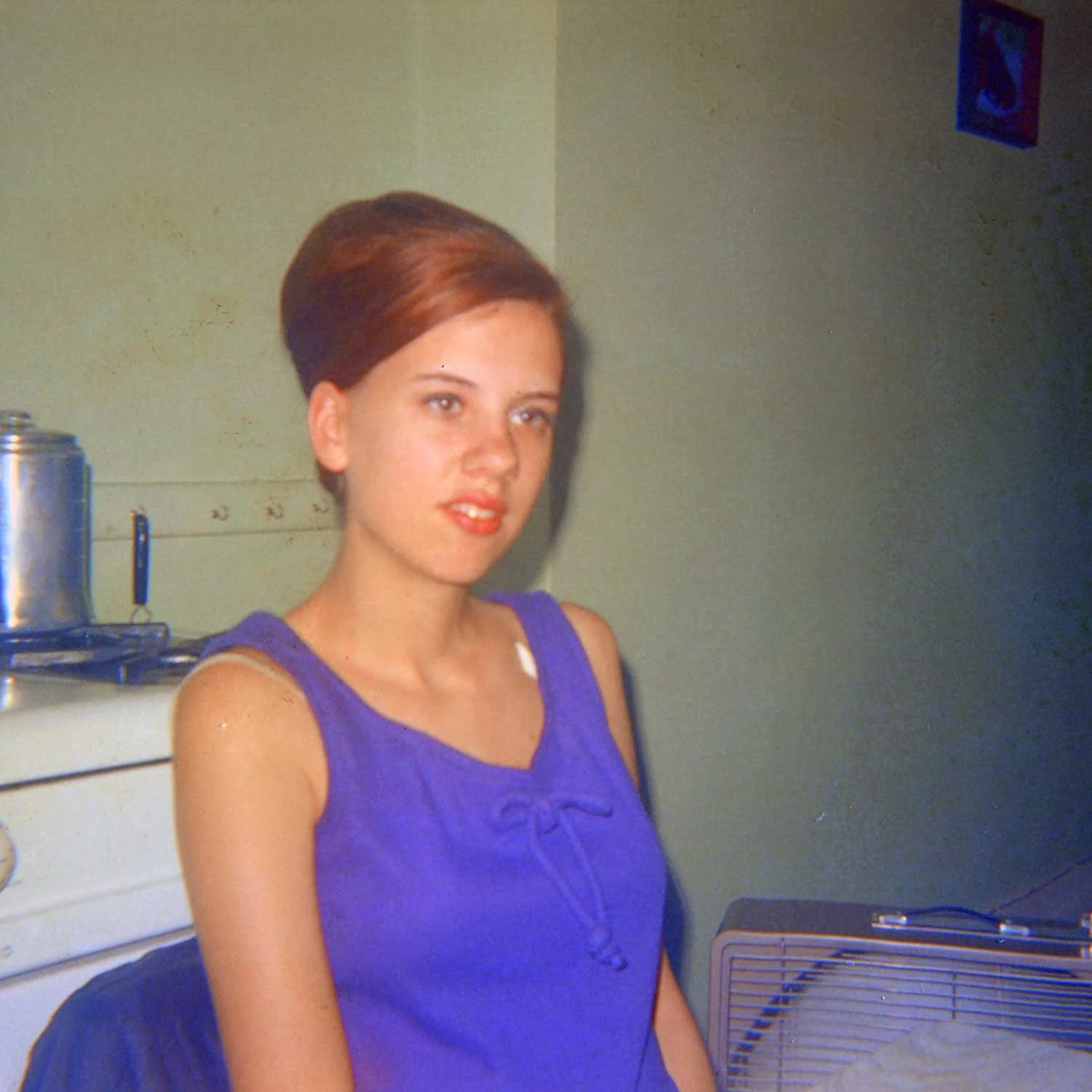 Barbara in Kitchen with red hair, 1967