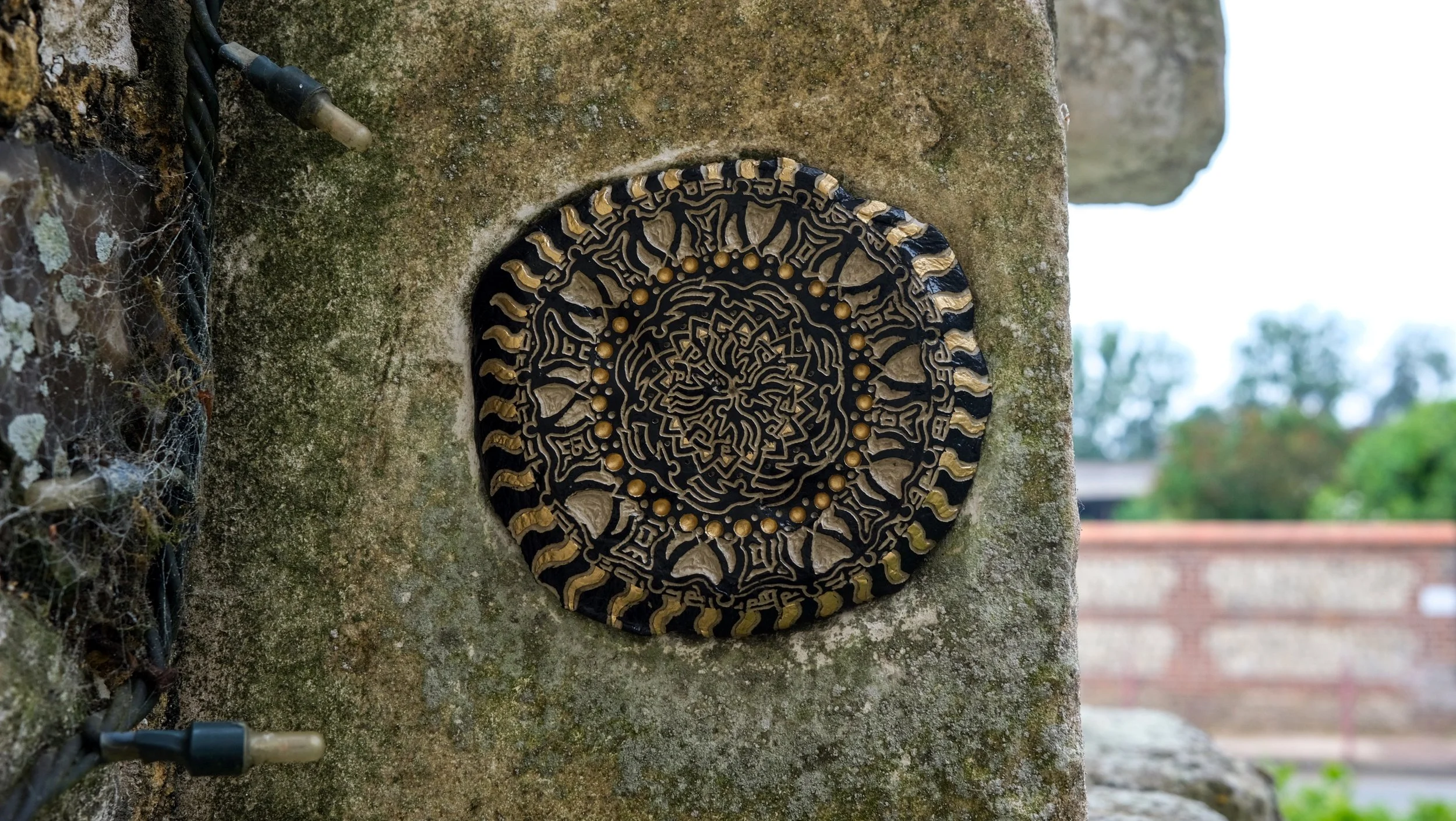 DSCF1429.jpg